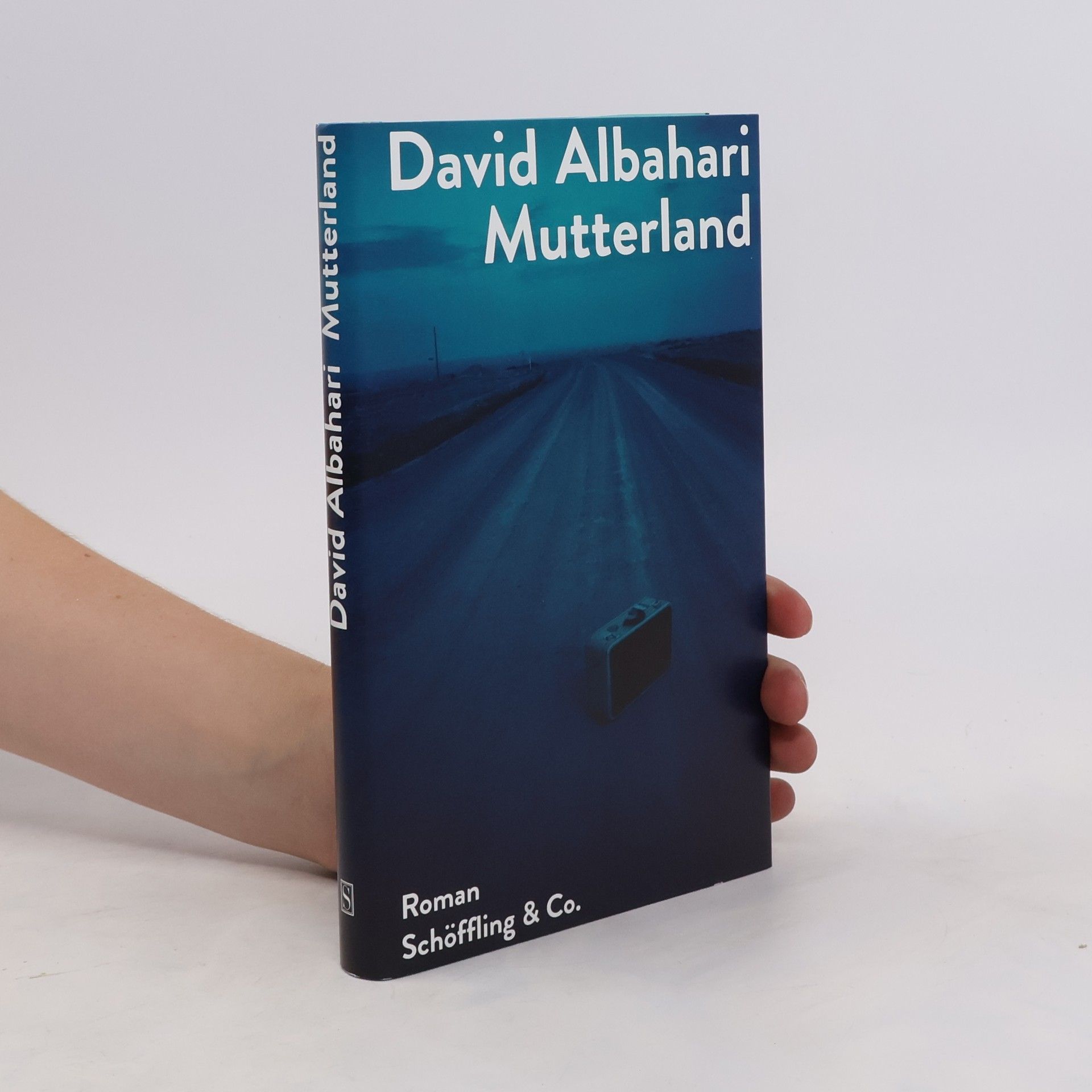 David Albahari Mutterland