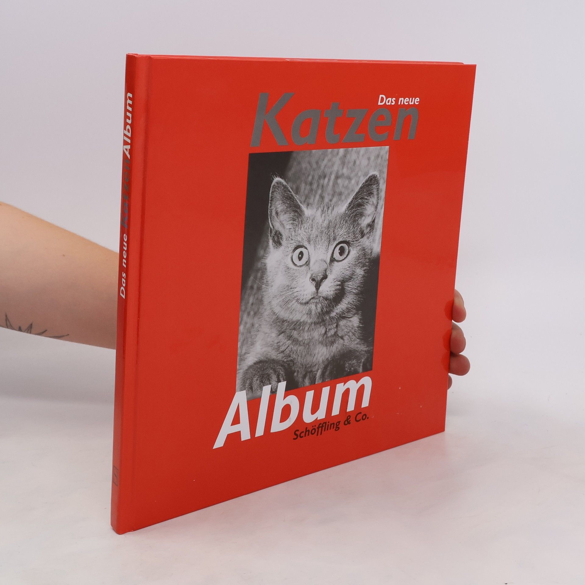 Julia Bachstein Das neue Katzen-Album
