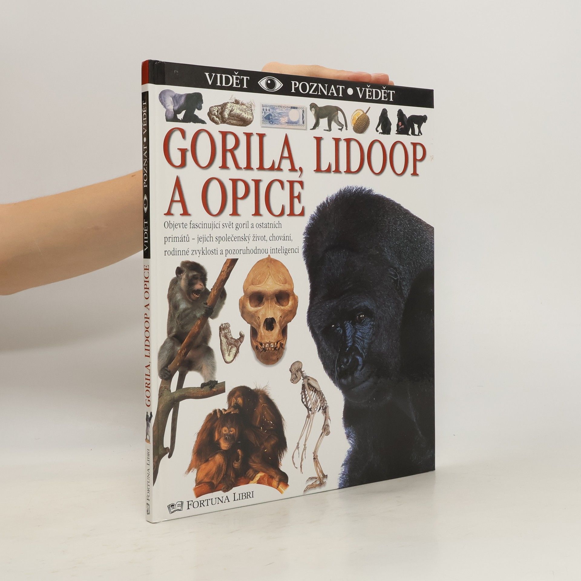 Geoff Brightling Gorila, lidoop a opice