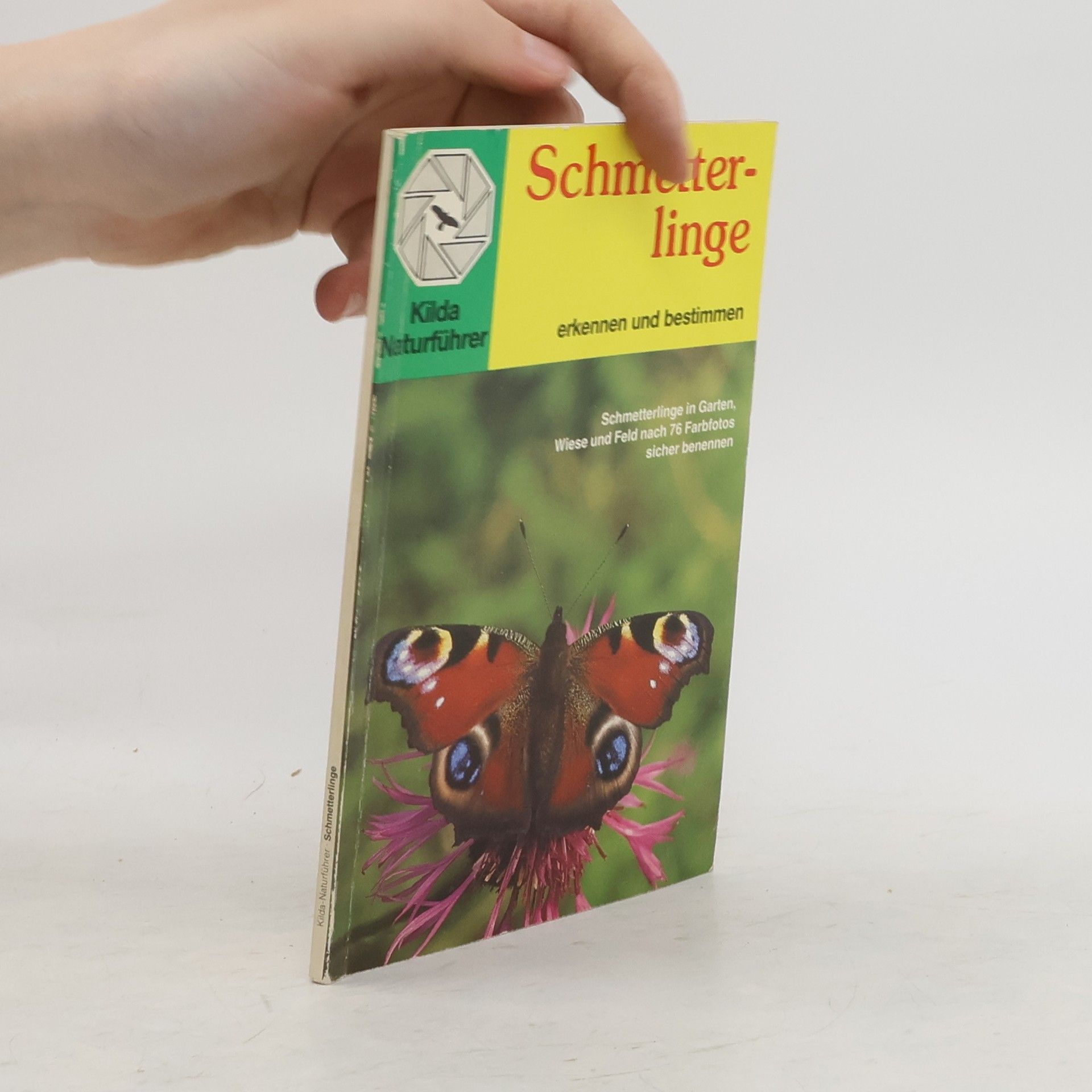 kolektiv Schmetterlinge