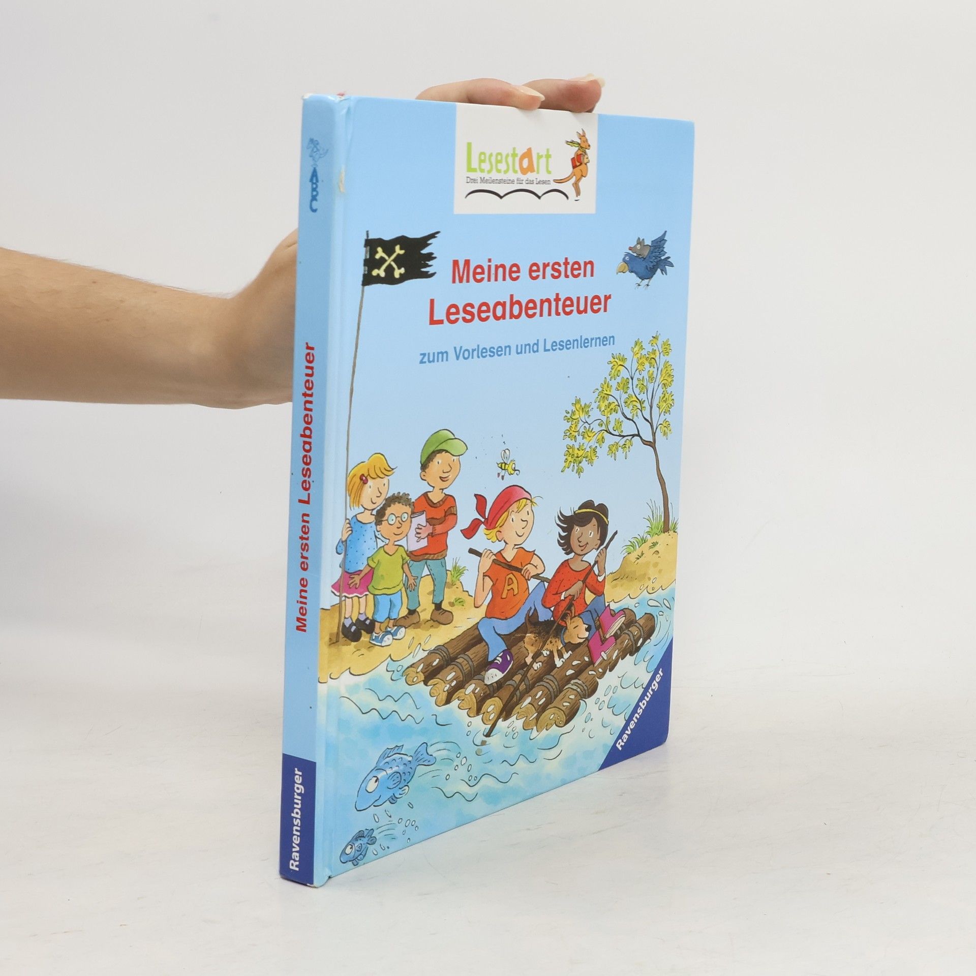 Autores varios Meine ersten Leseabenteuer