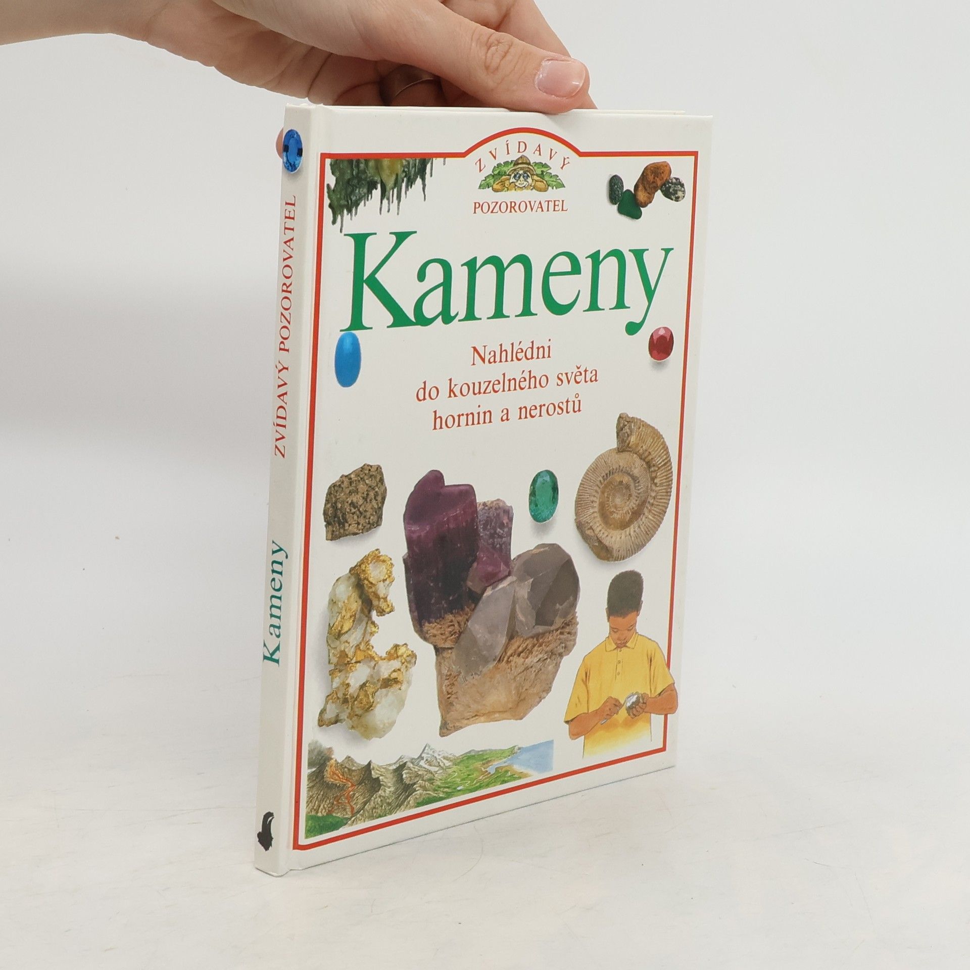 Steve Parker Kameny