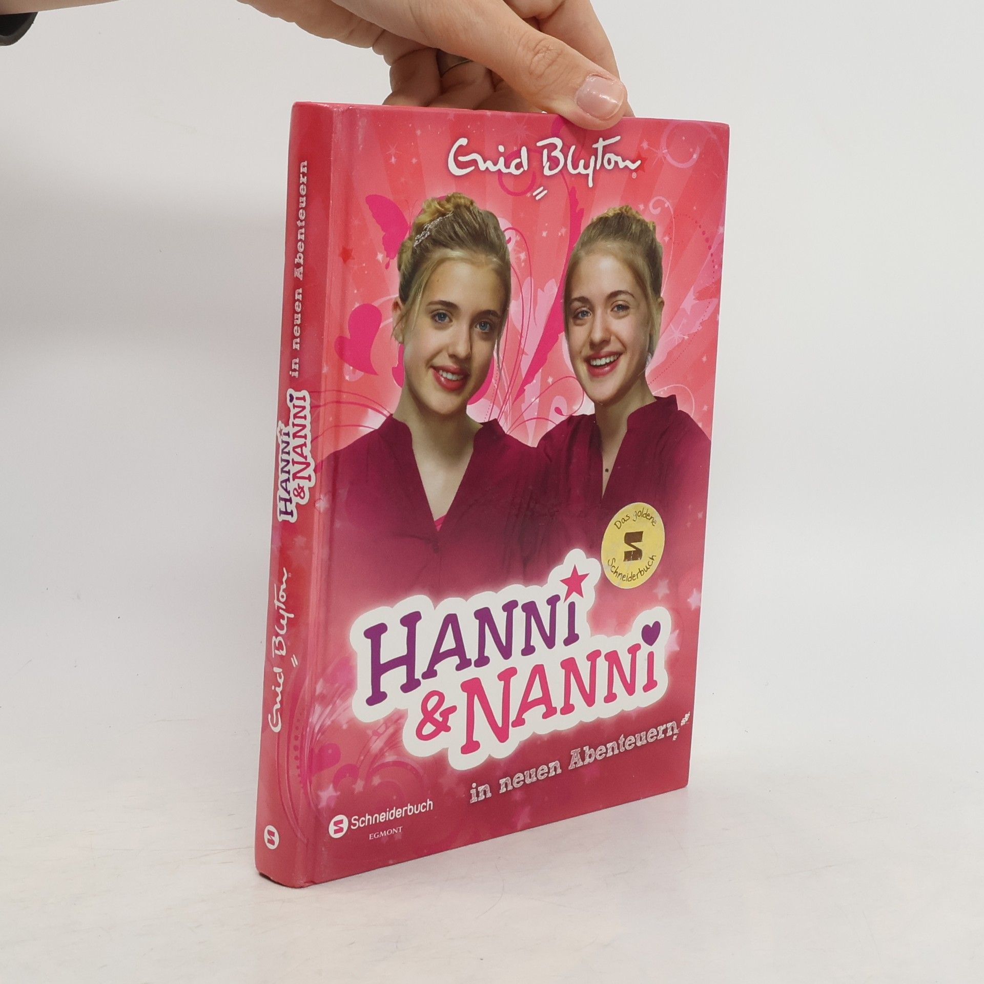 Enid Blyton Hanni & Nanni in neuen Abenteuern. Band 3