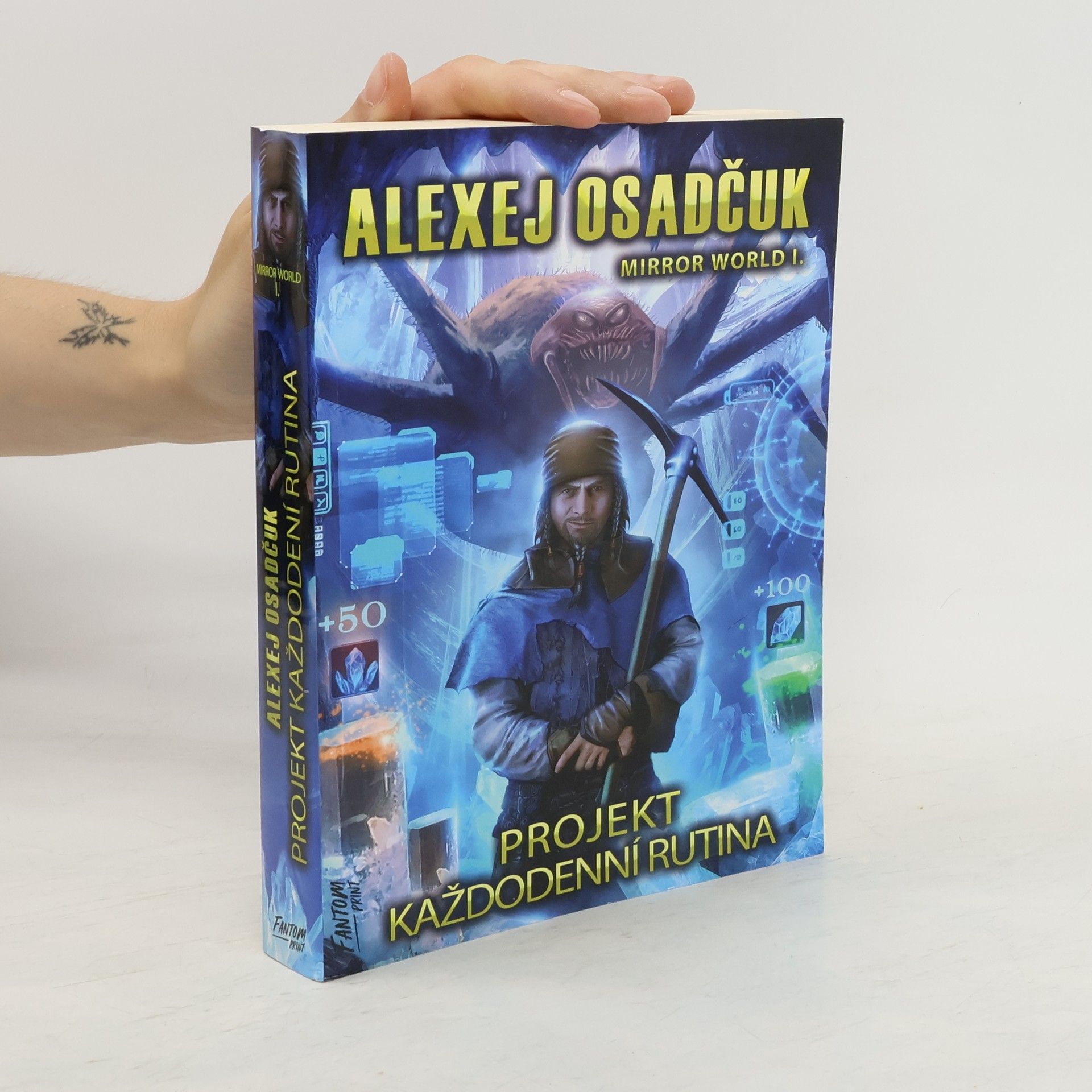 Alexej Osadčuk Mirror world. I., Projekt Každodenní rutina