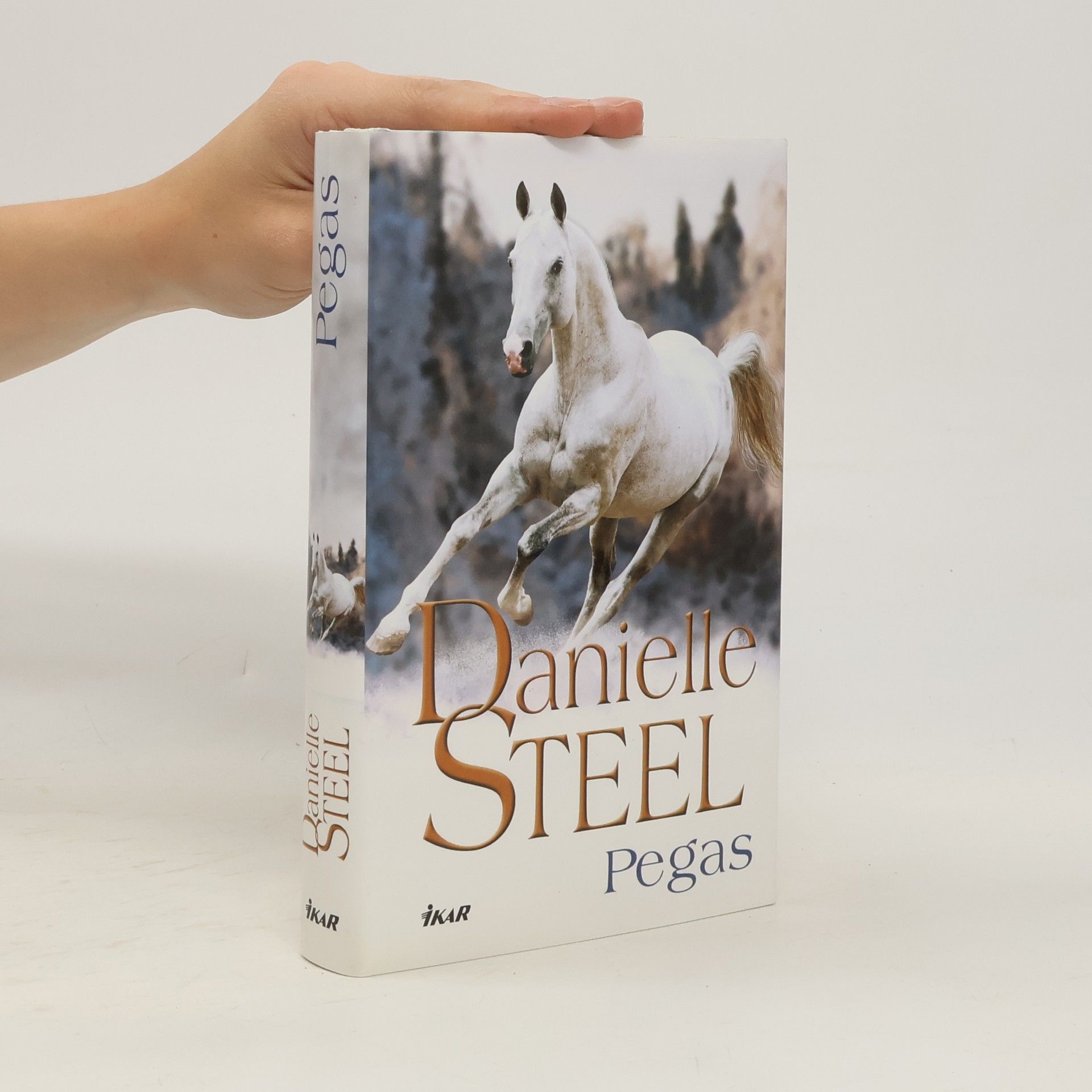 Danielle Steel Pegas
