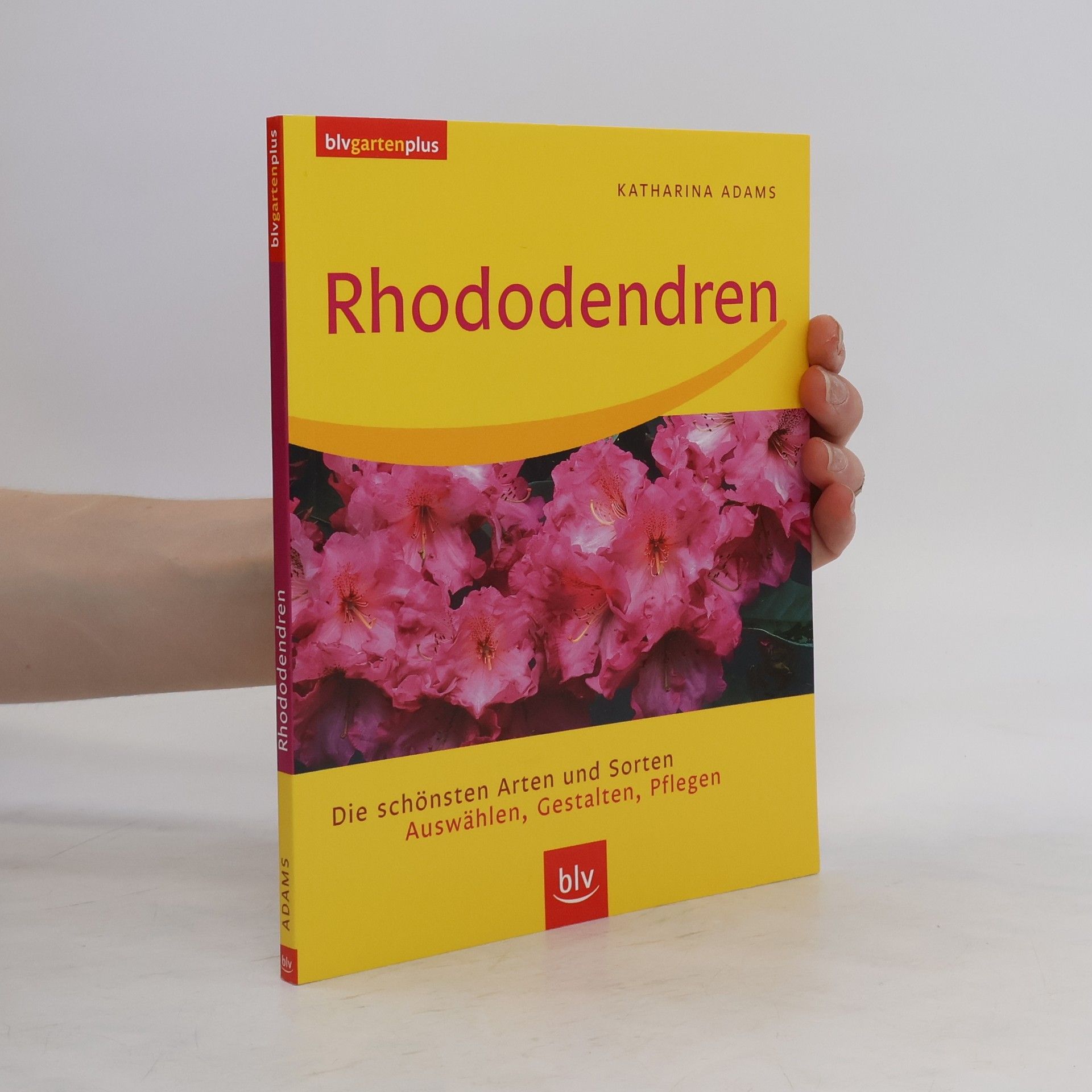 Katharina Adams Rhododendren