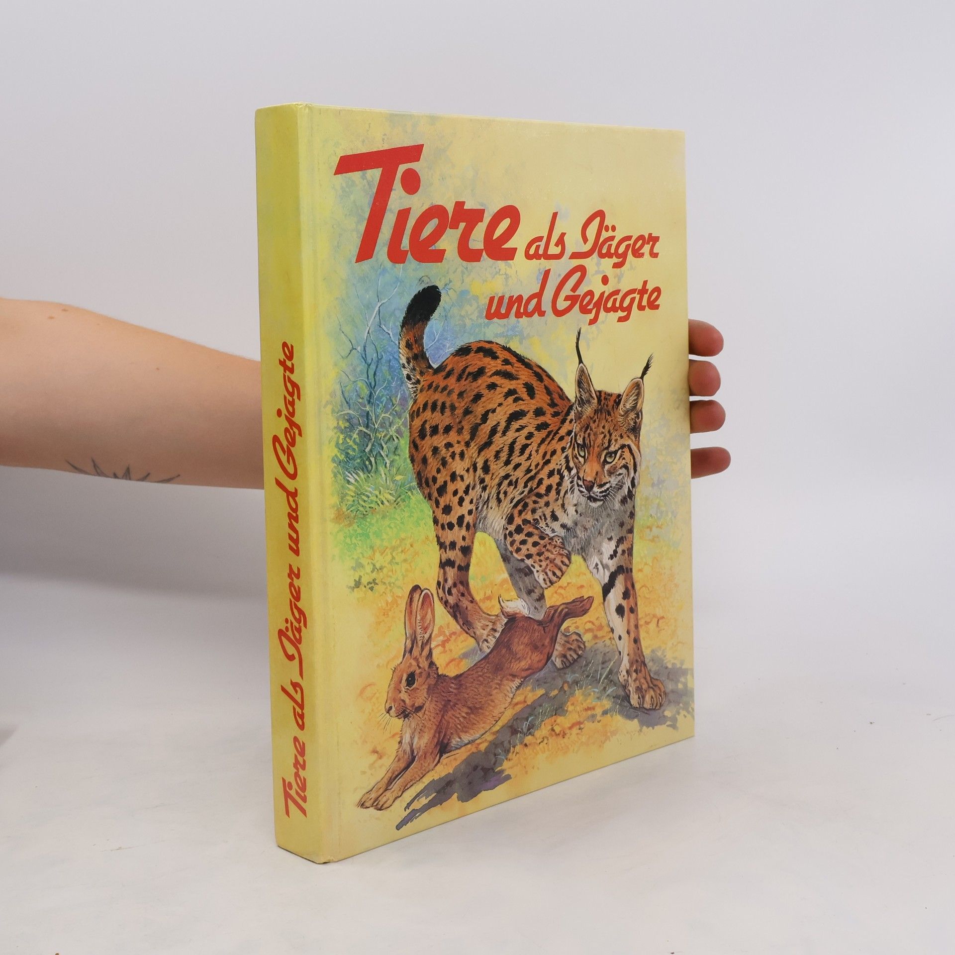 Collectif d'auteurs Tiere als Jäger und Gejagte