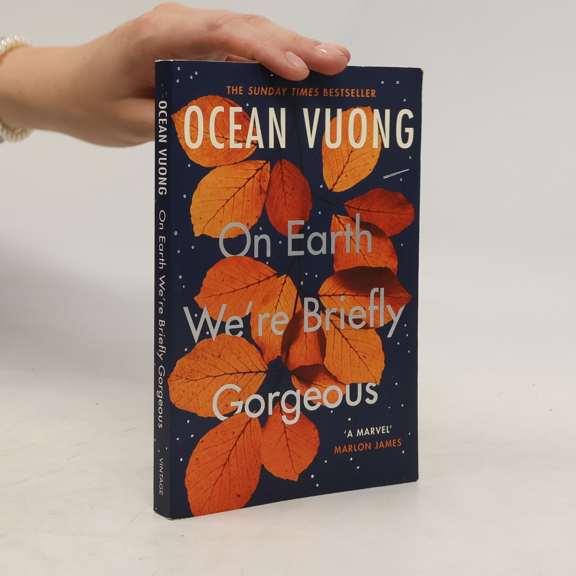 Ocean Vuong On Earth We're Briefly Gorgeous