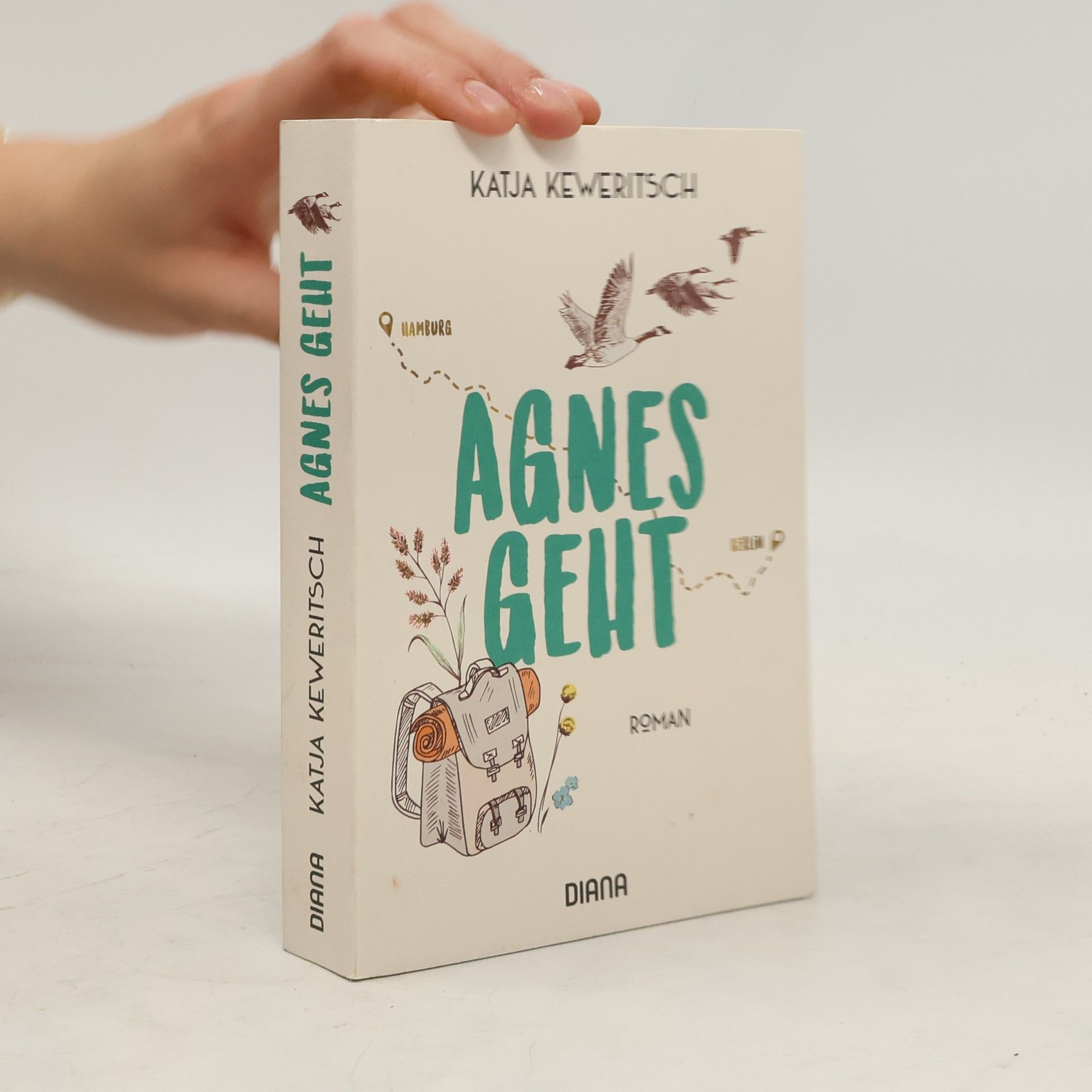 Agnes geht