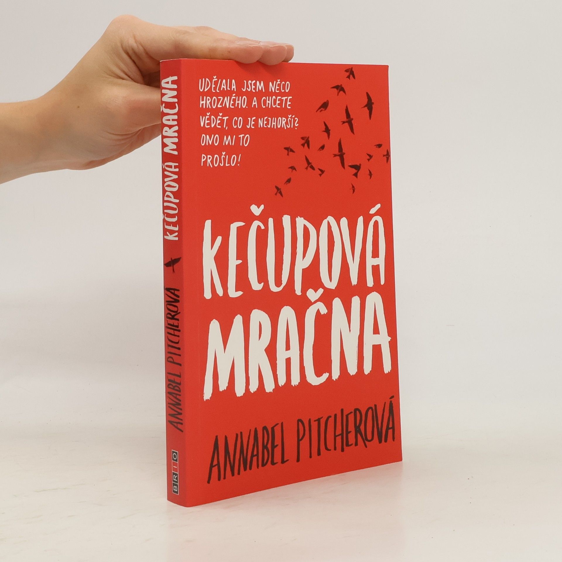 Annabel Pitcher Kečupová mračna
