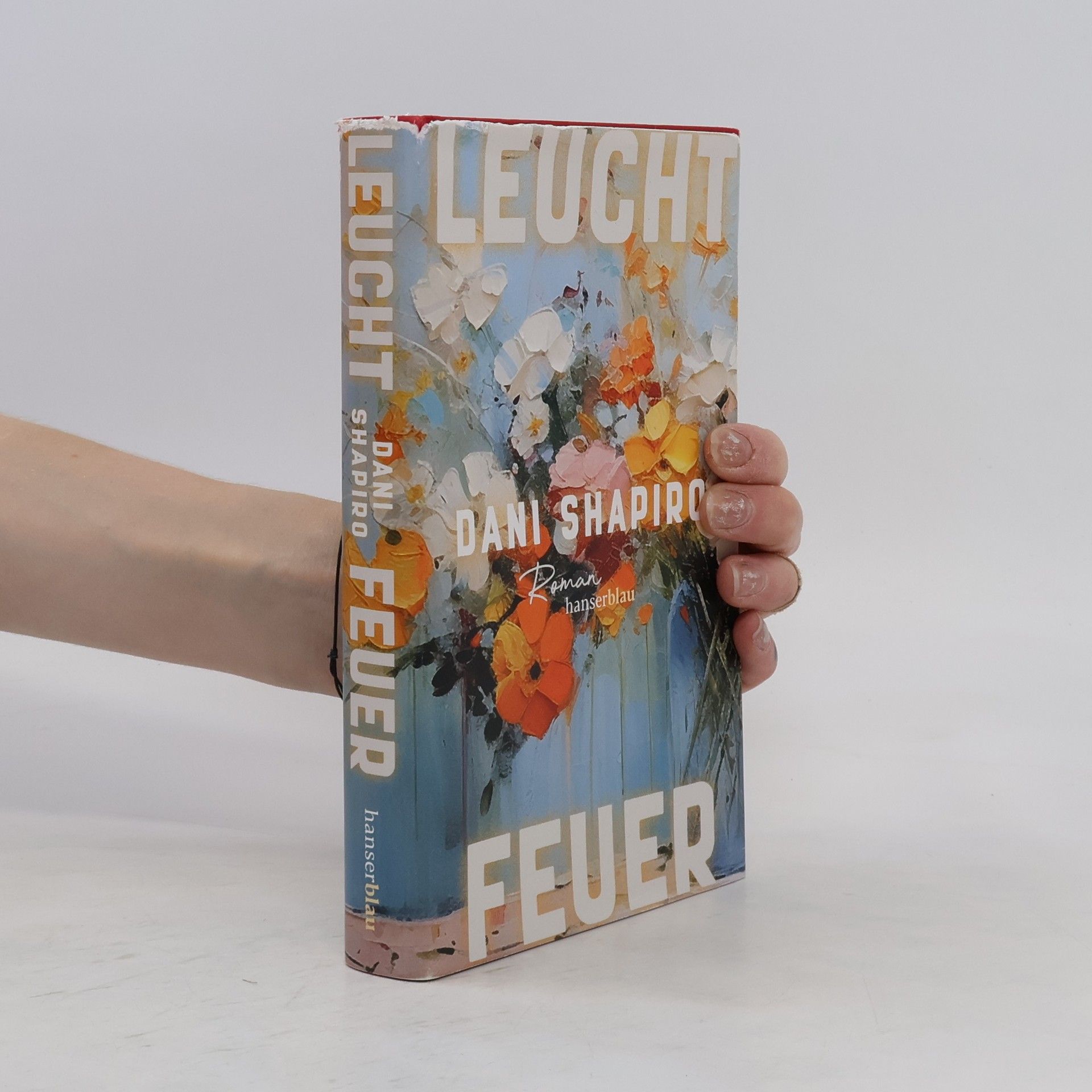 Dani Shapiro Leuchtfeuer