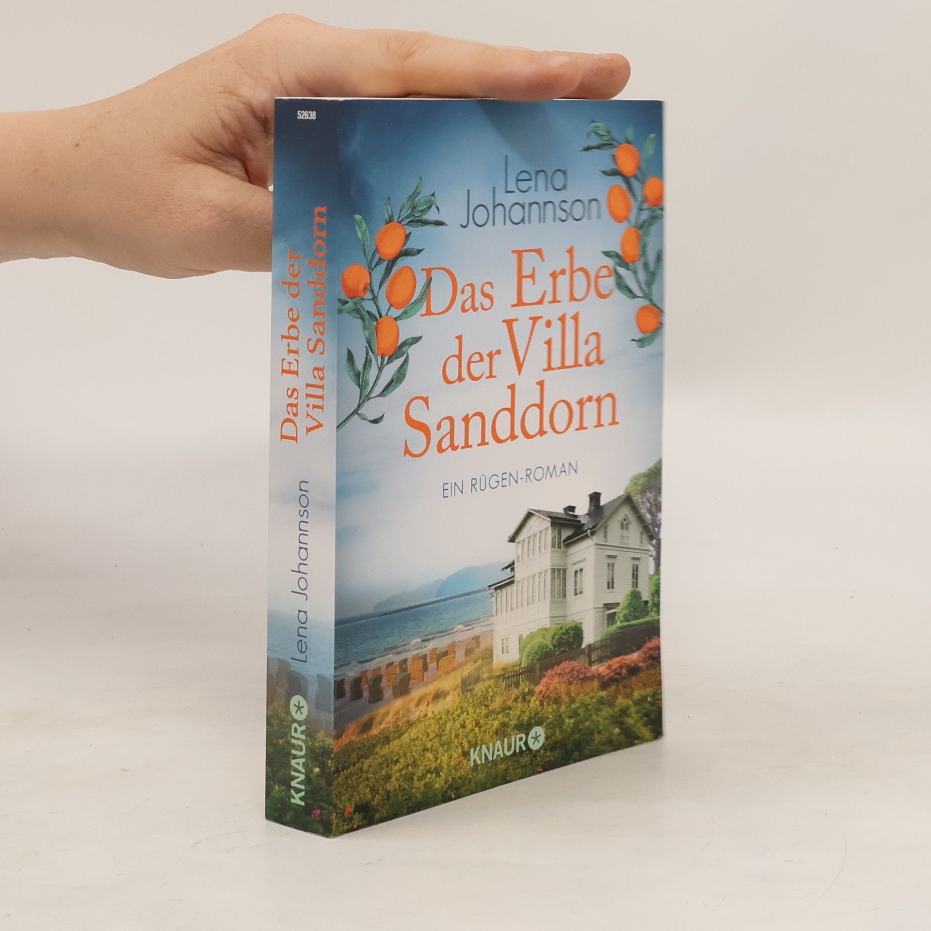 Lena Johannson Das Erbe der Villa Sanddorn