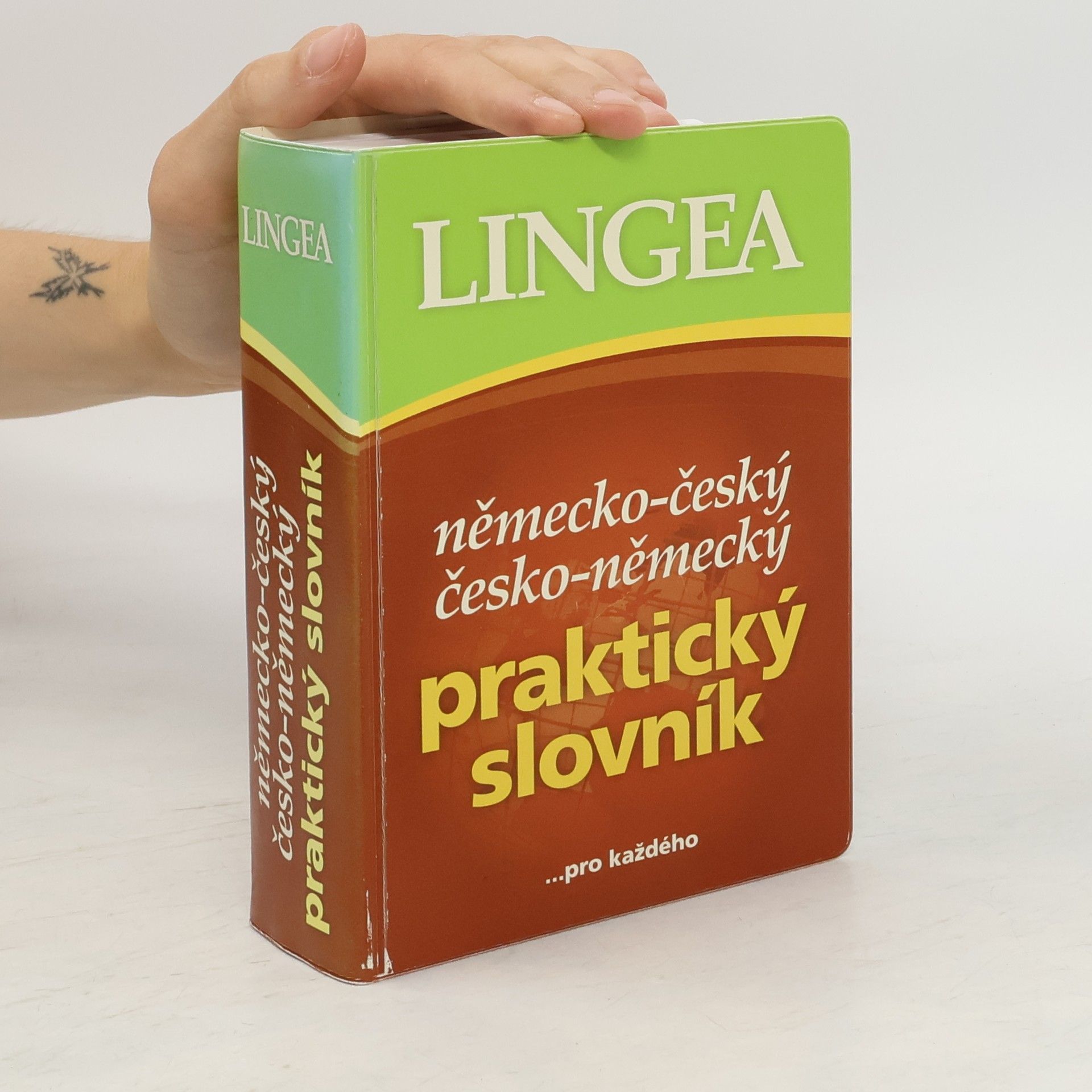 kolektiv Německo-český, česko-německý praktický slovník