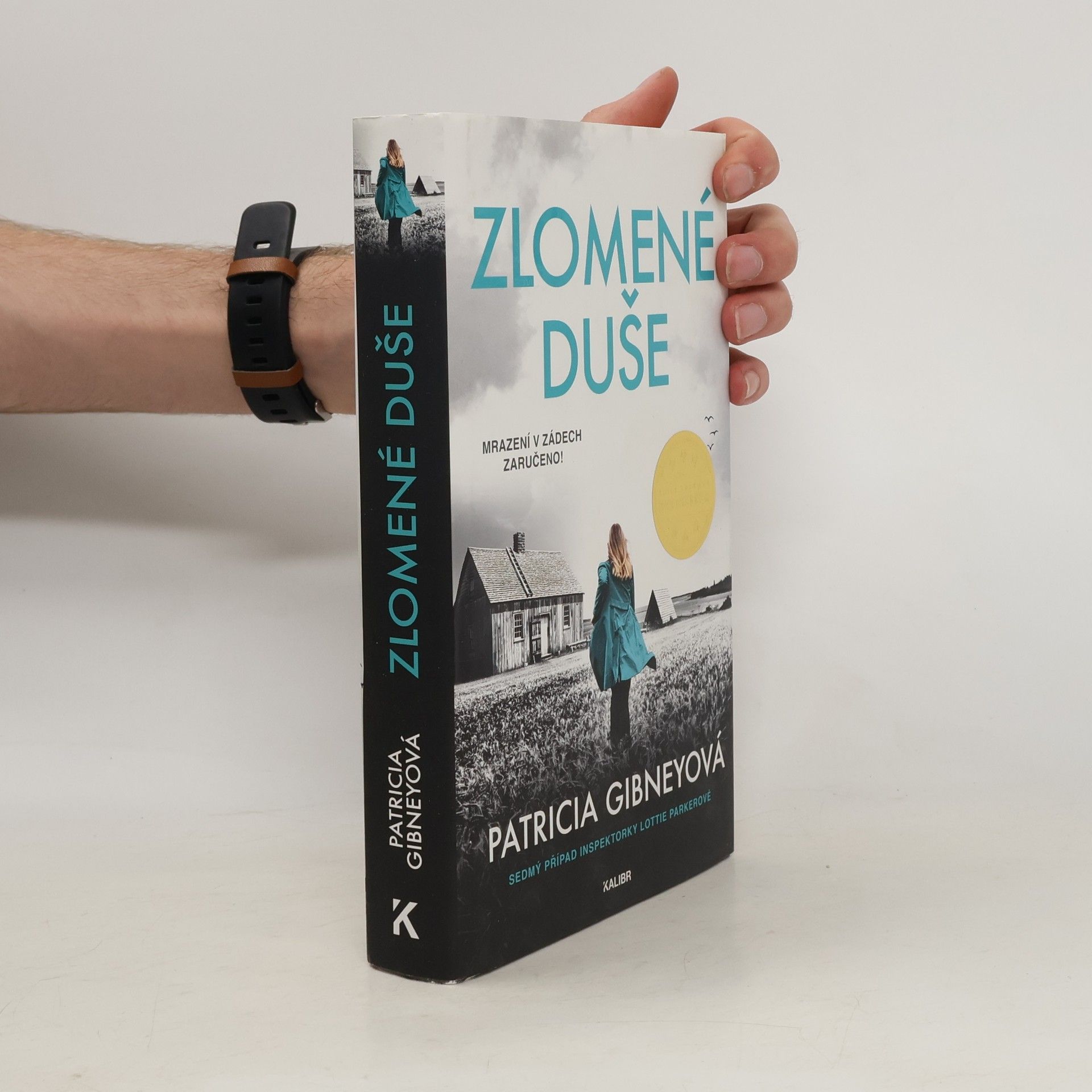 Patricia Gibney Zlomené Duše