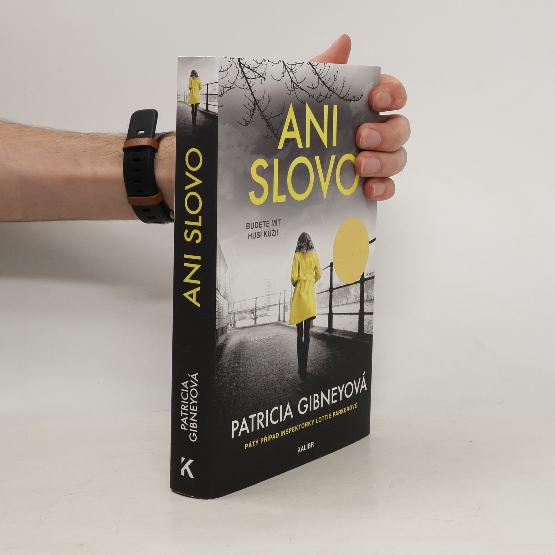 Patricia Gibney Ani slovo
