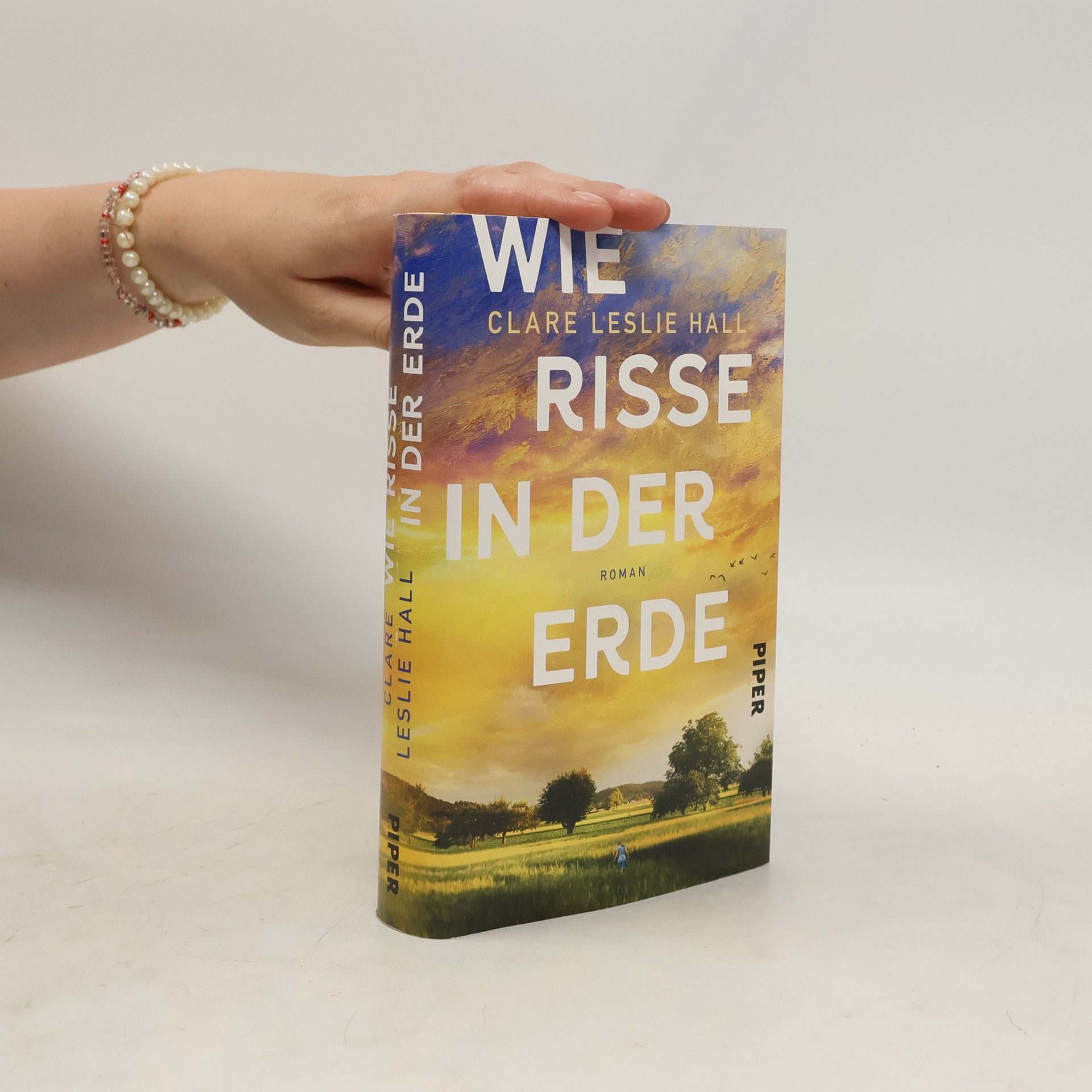 Clare Leslie Hall Wie Risse in der Erde