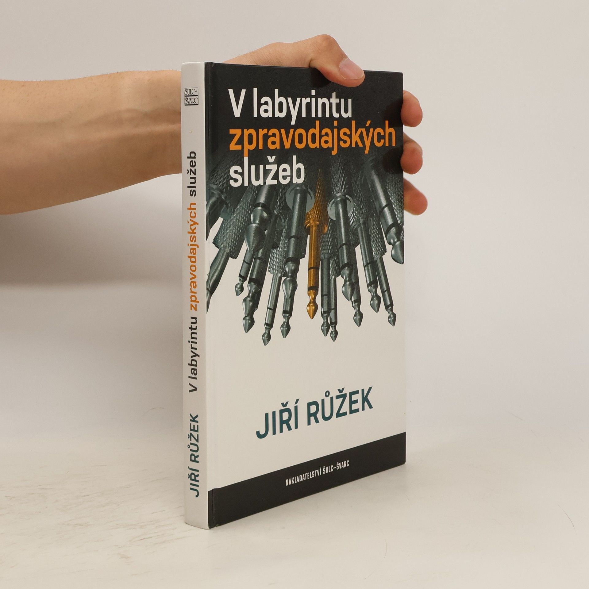 Jiří Růžek V labyrintu zpravodajských služeb