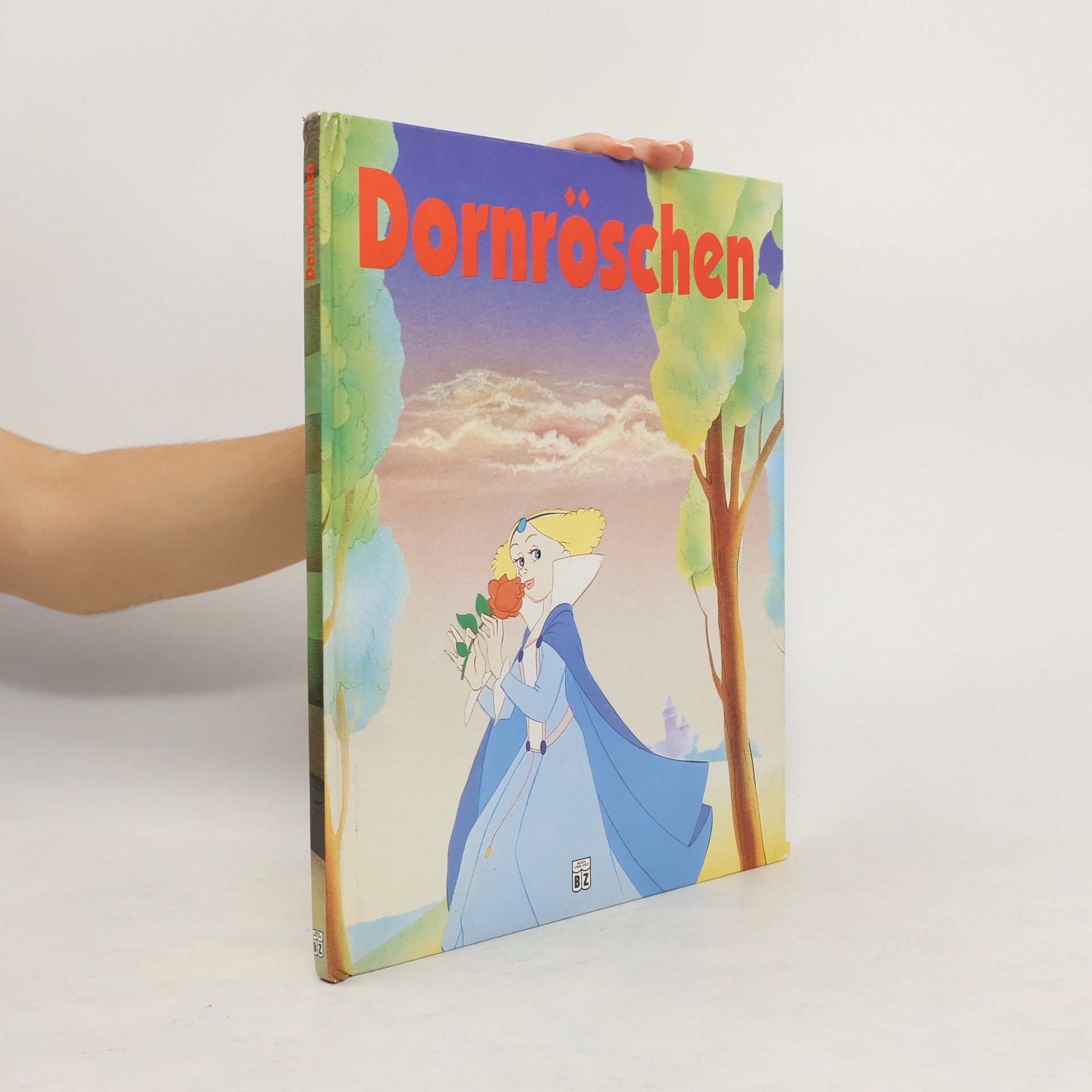 kolektiv Dornröschen