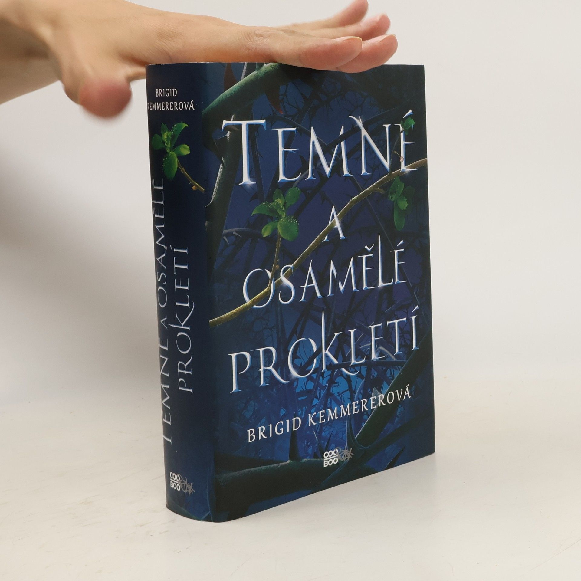 Brigid Kemmerer Temné a osamělé prokletí