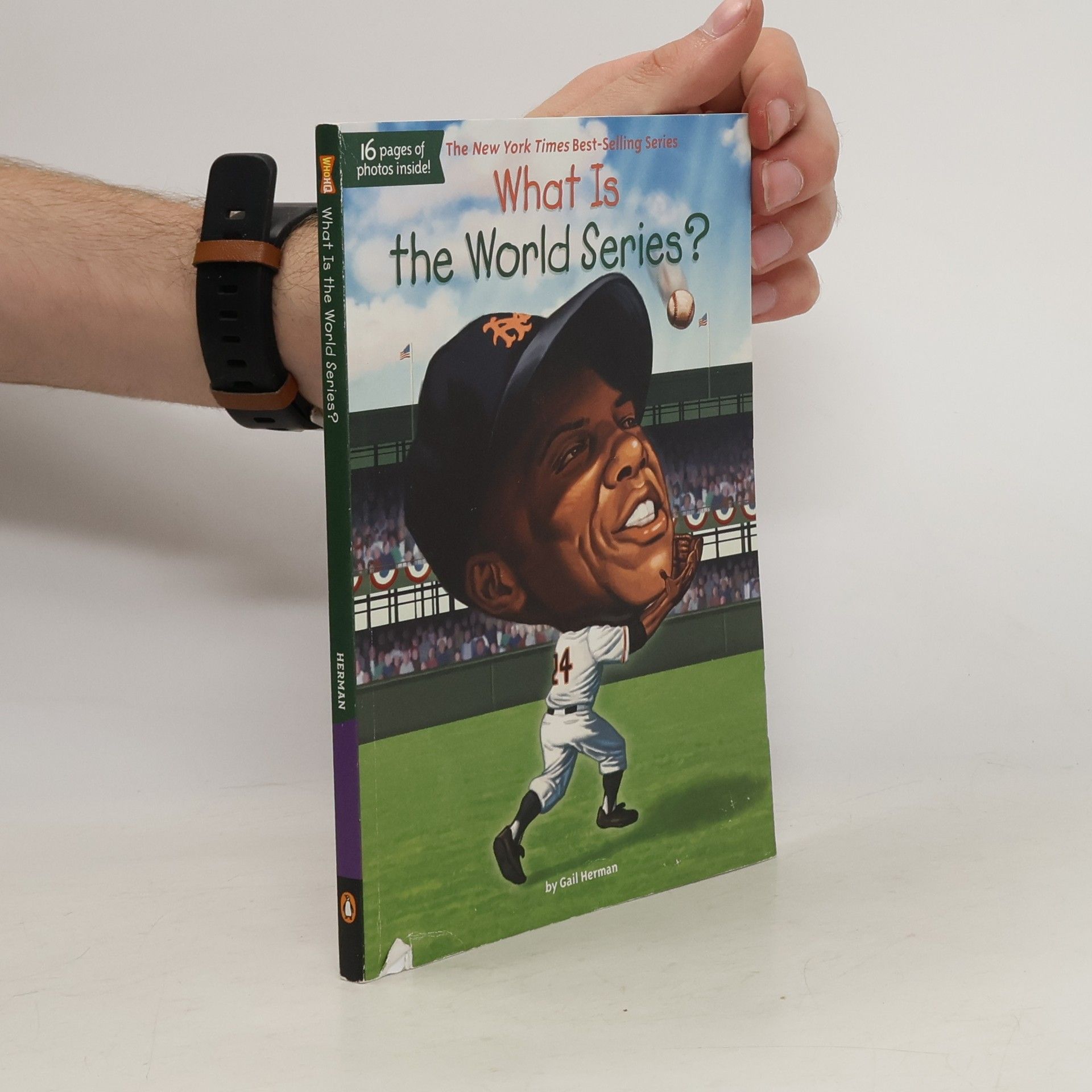 Gail Herman What Is the World Series?