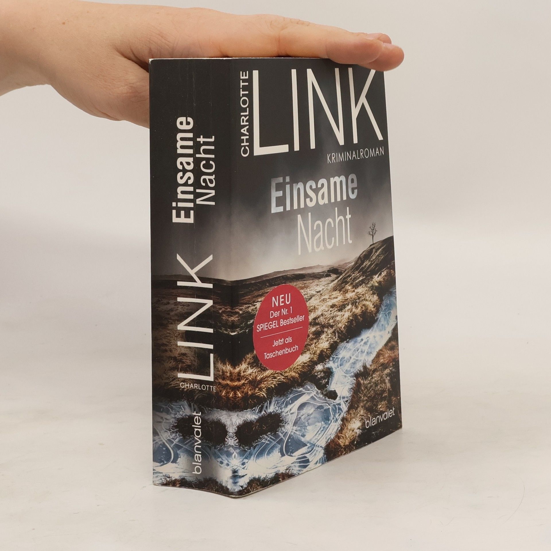 Charlotte Link Einsame Nacht