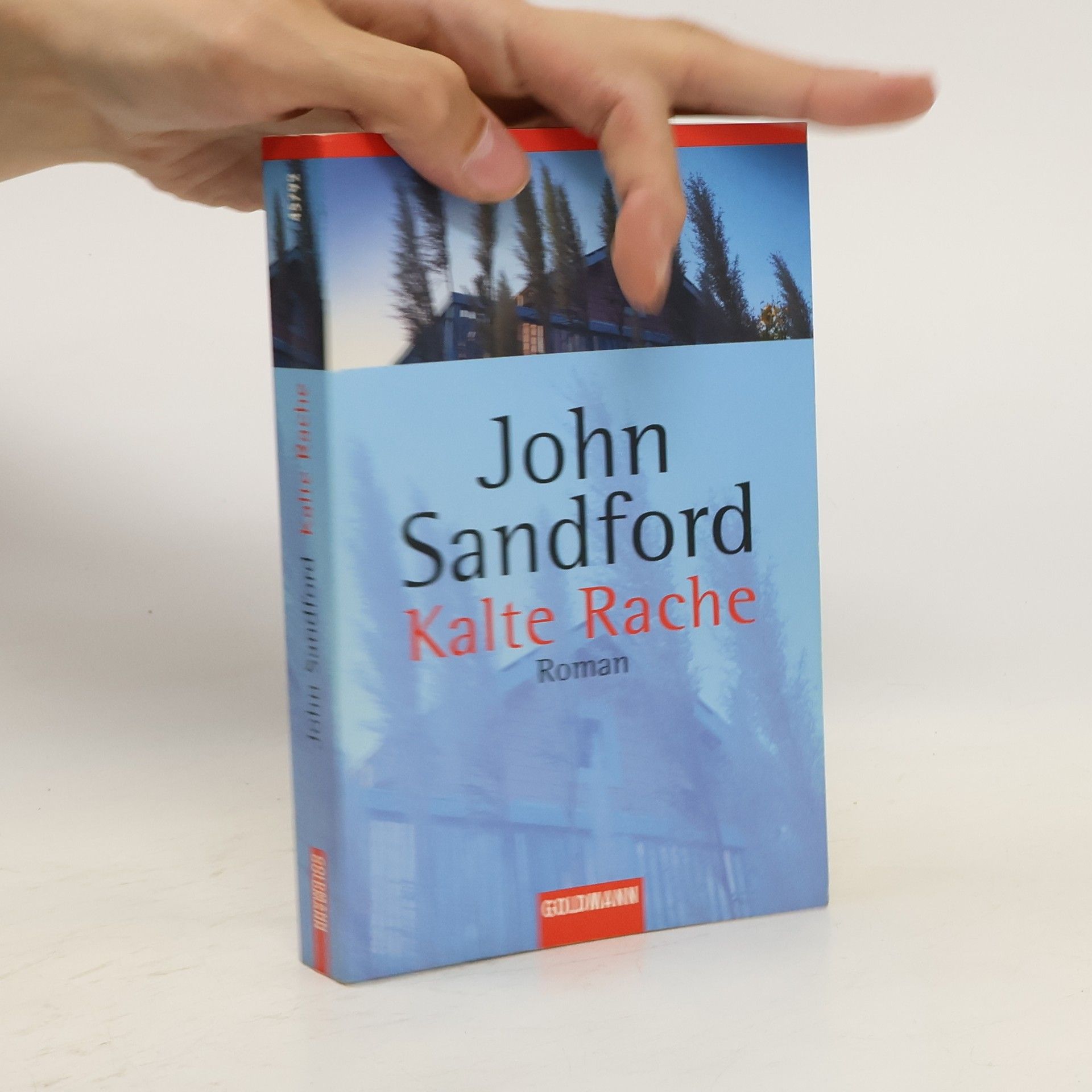 John Sandford Kalte Rache