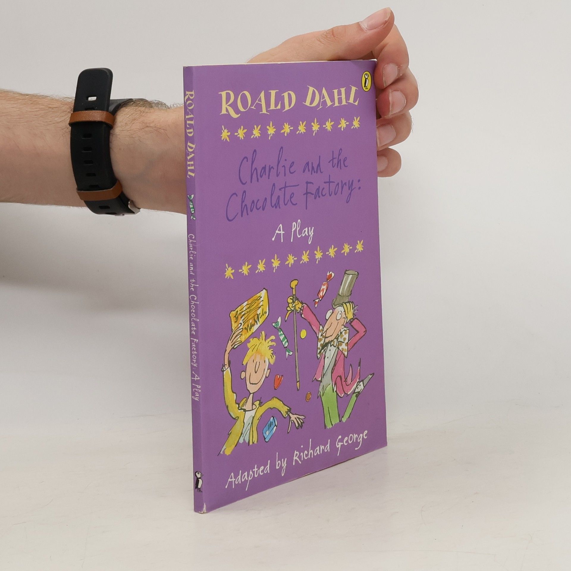 Roald Dahl Charlie and the Chocolate Factory