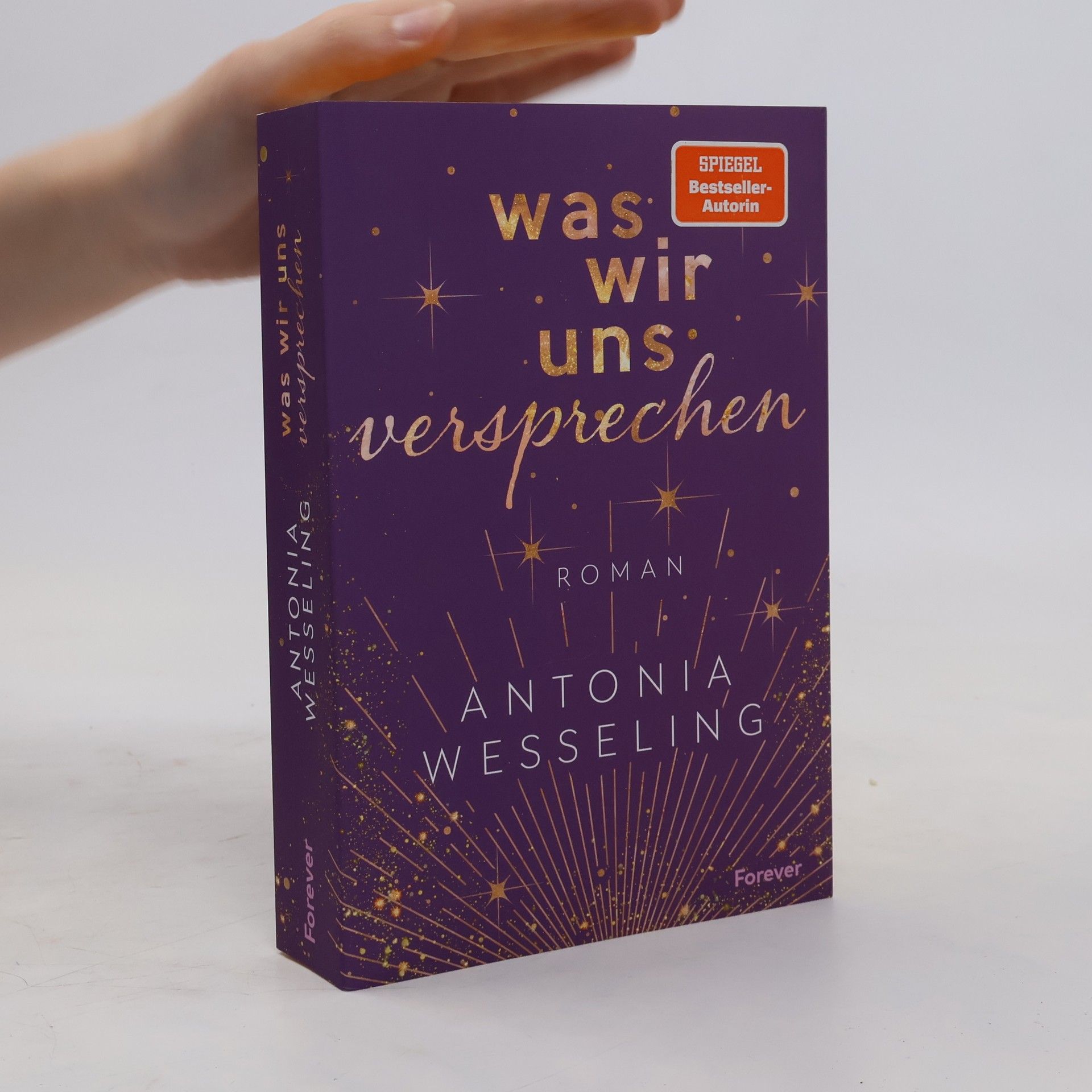 Antonia C. Wesseling Was wir uns versprechen (Light in the Dark 3)