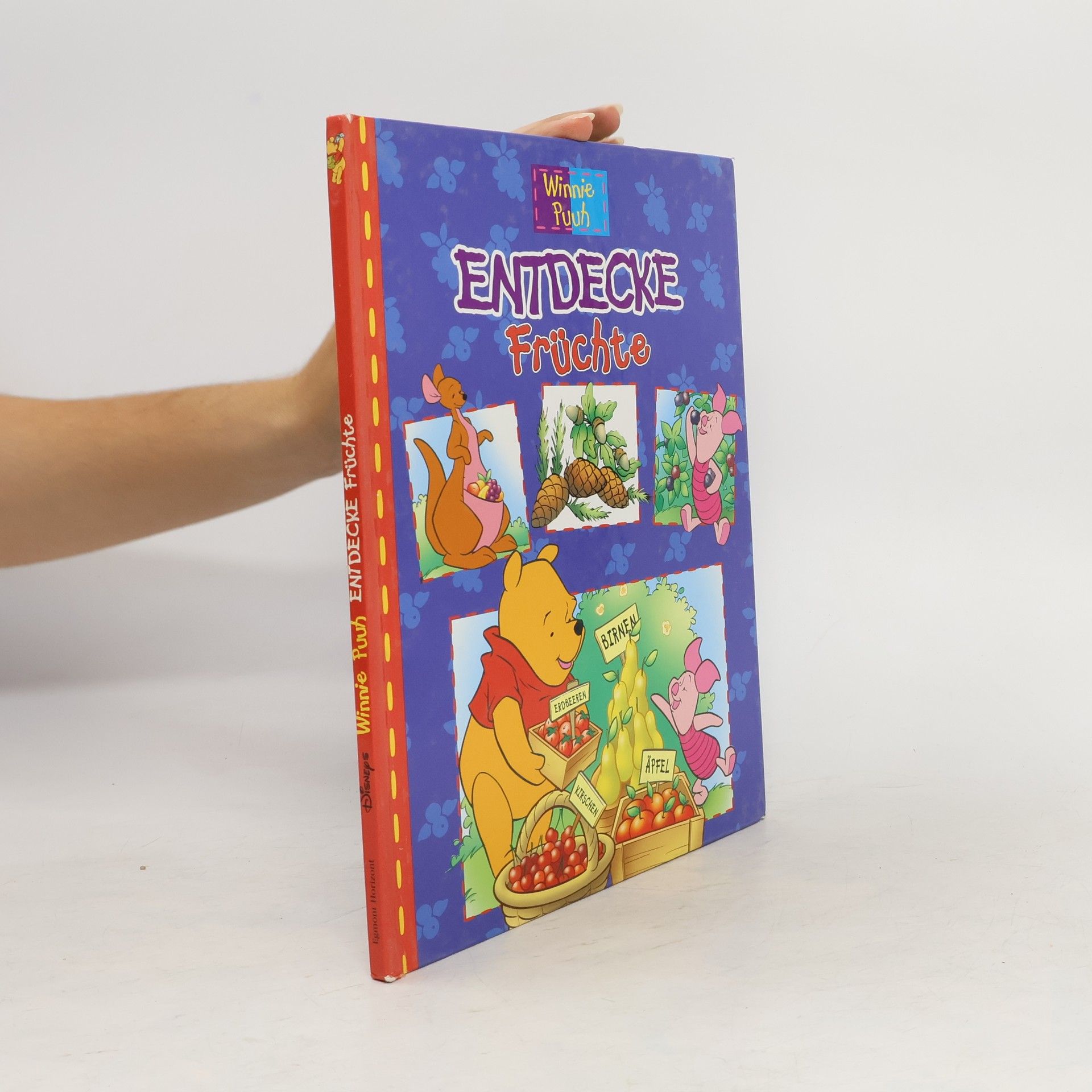 Autorenkollektiv Entdecke Früchte