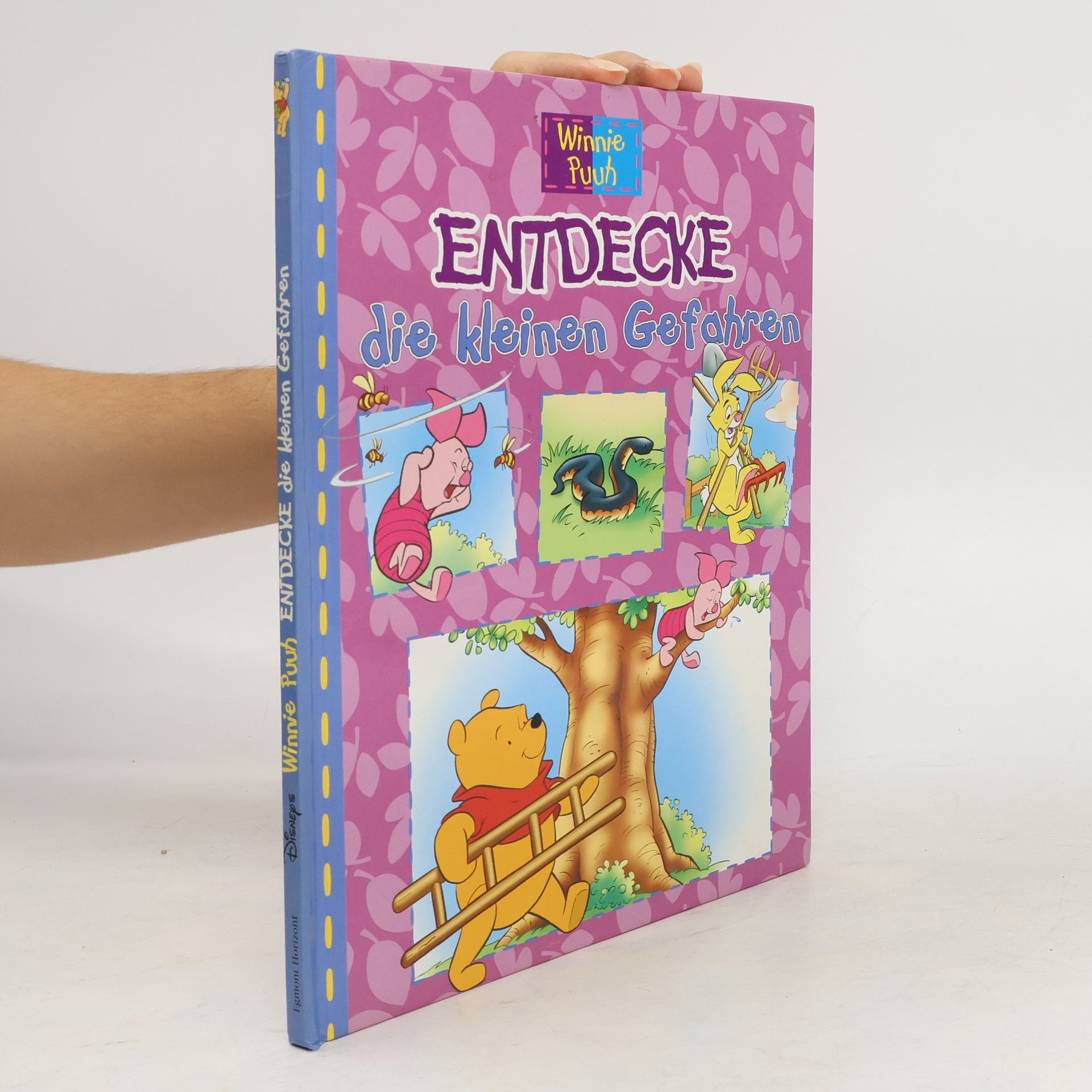 Autorenkollektiv Winnie Puuh. Entdecke die kleinen Gefahren