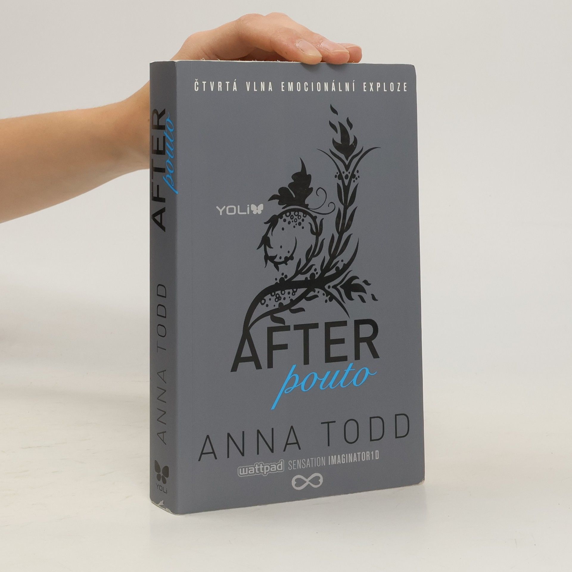 Anna Todd After. Pouto