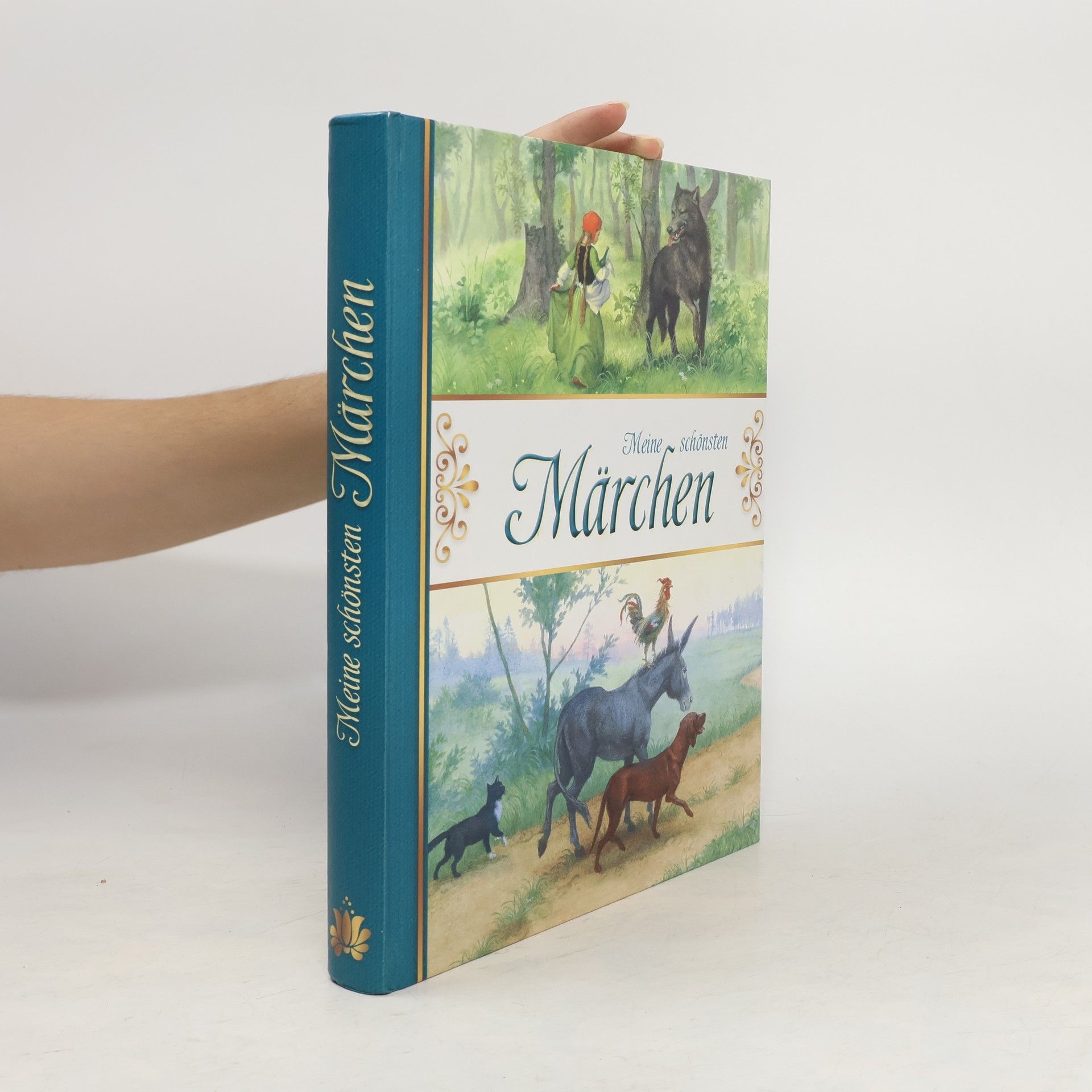 Grimm Brüder Meine schönsten Märchen