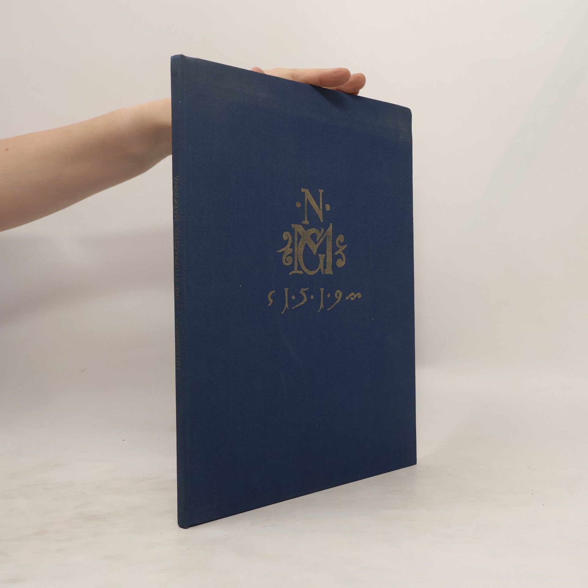 Bruno Hilsenbeck  Die Stuppacher Madonna und ihre Botschaft