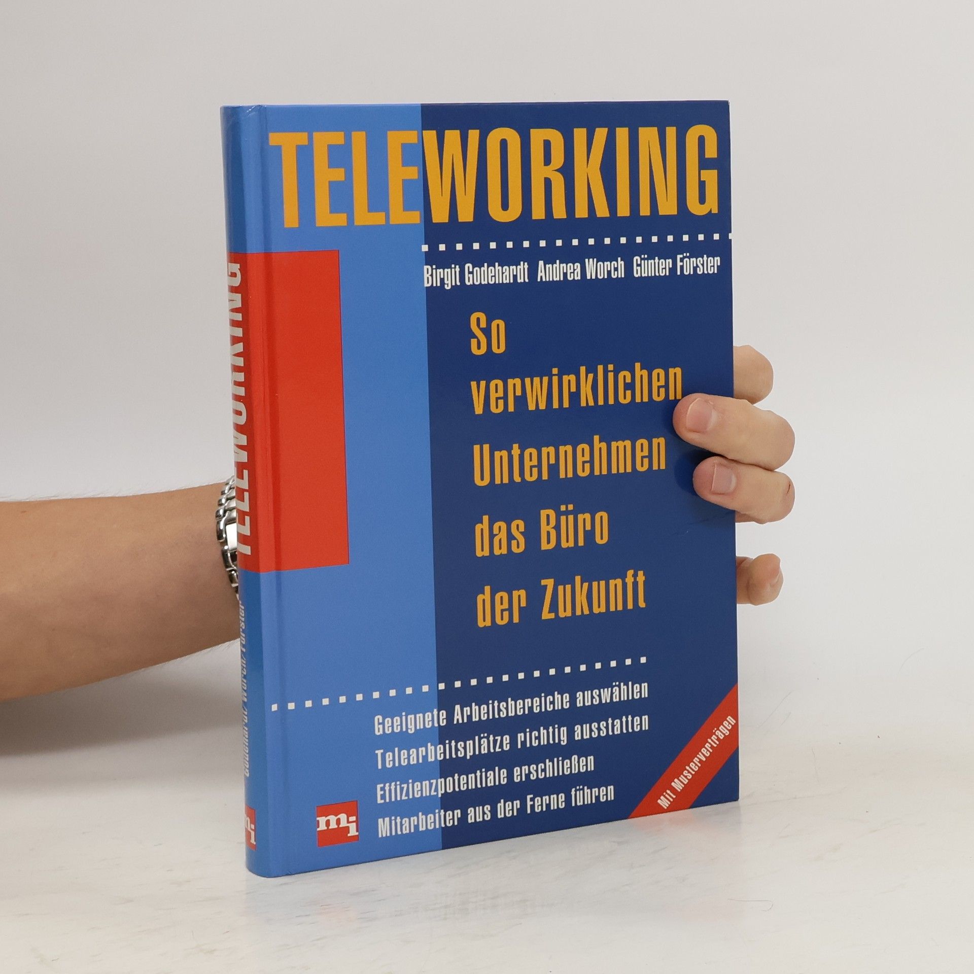 Birgit Godehardt Teleworking