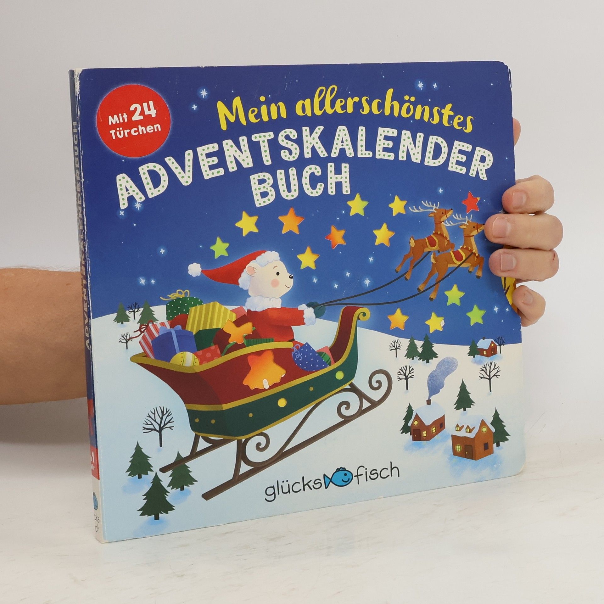 Jack London Glücksfisch: Mein allerschönstes Adventskalenderbuch