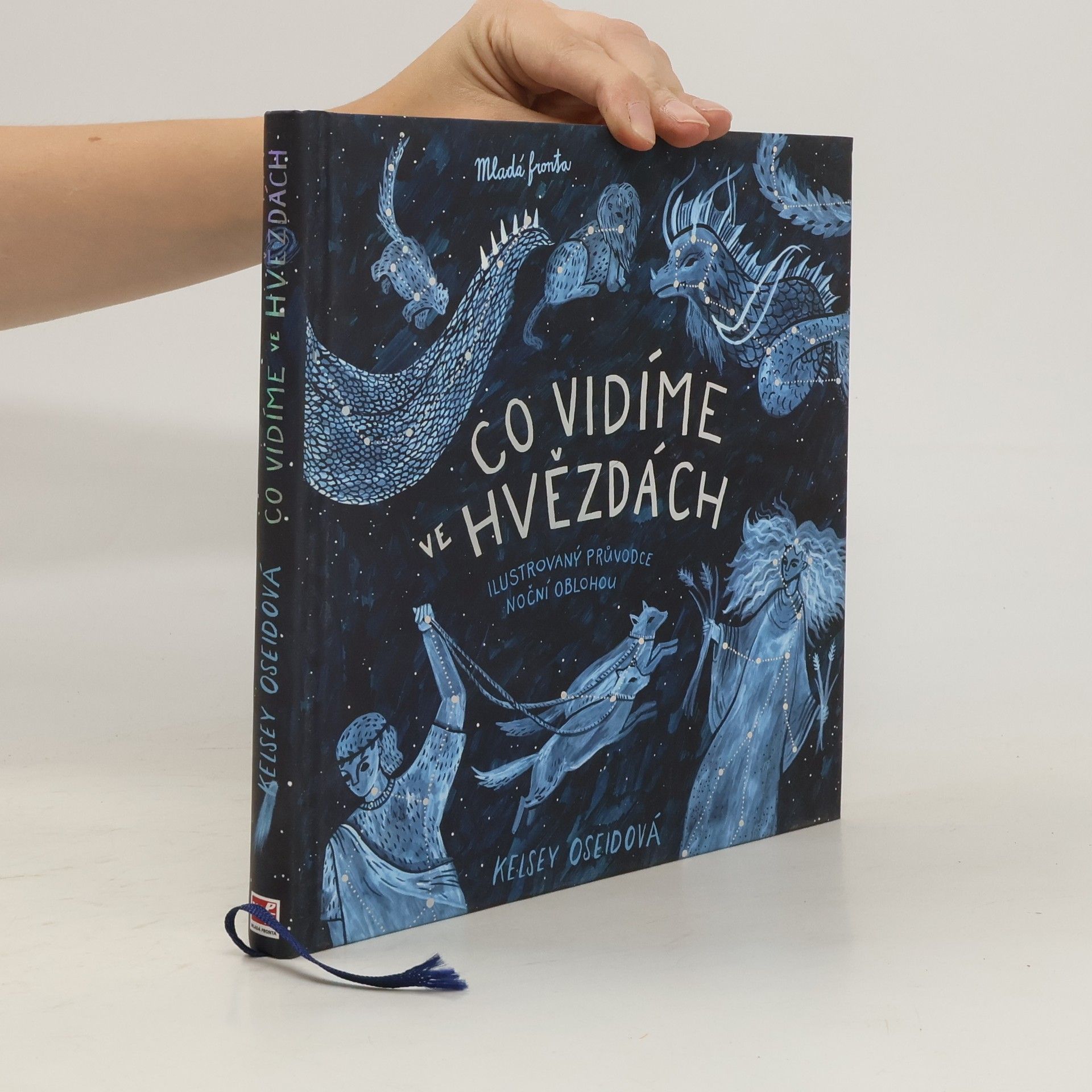 Kelsey Oseid Co vidíme ve hvězdách: ilustrovaný průvodce noční oblohou