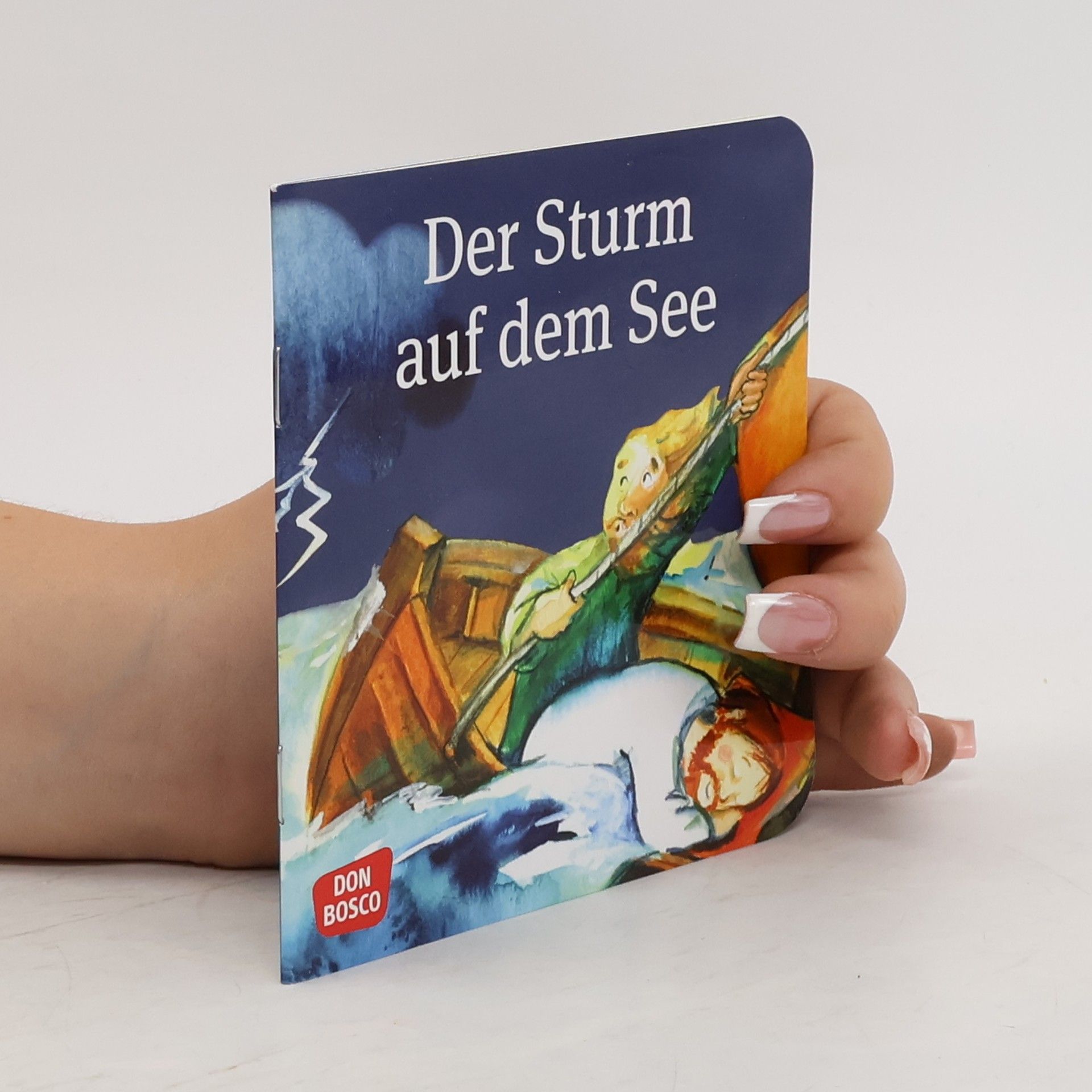 Susanne Brandt Der Sturm auf dem See
