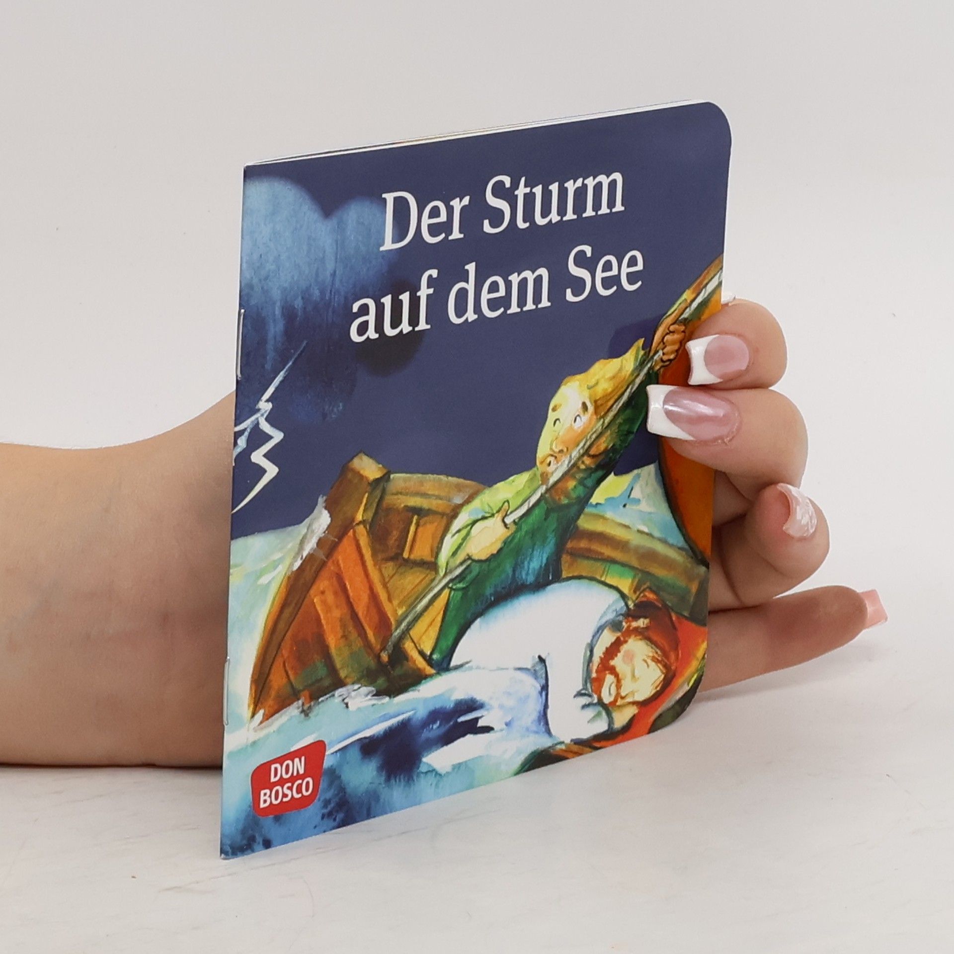 Susanne Brandt Der Sturm auf dem See