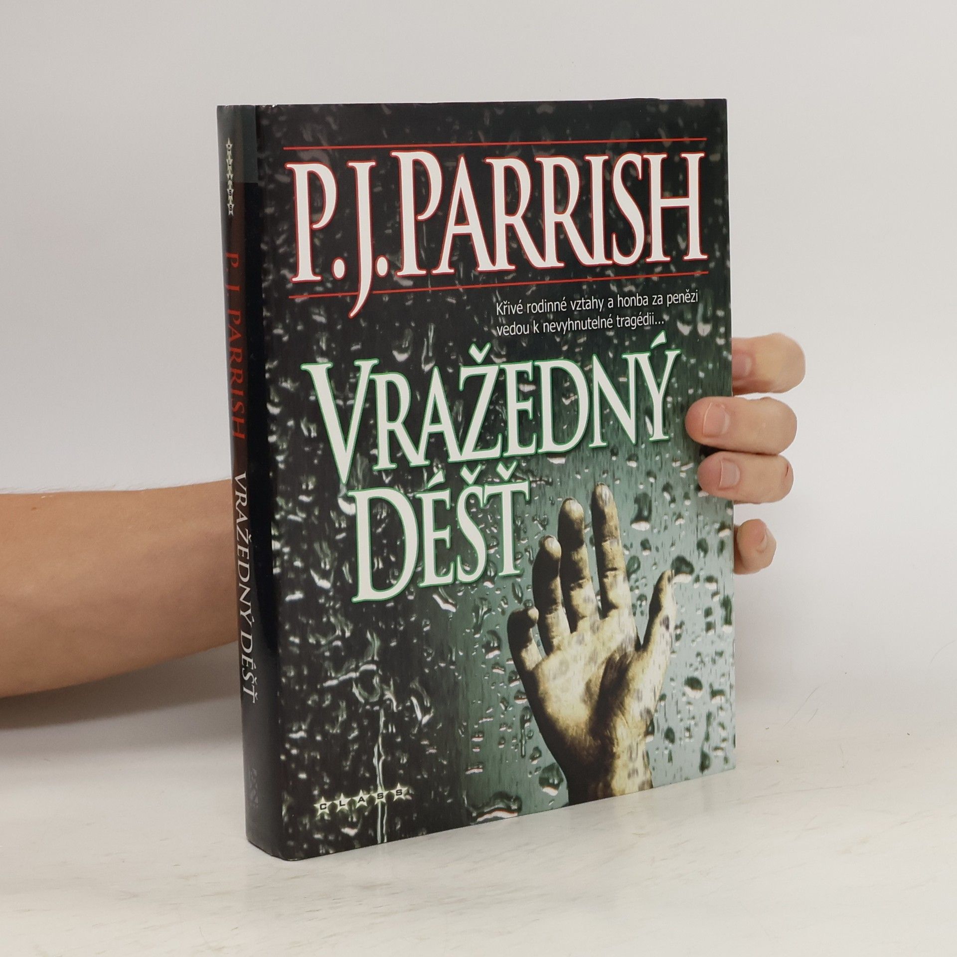 P. J. Parrish Vražedný déšť