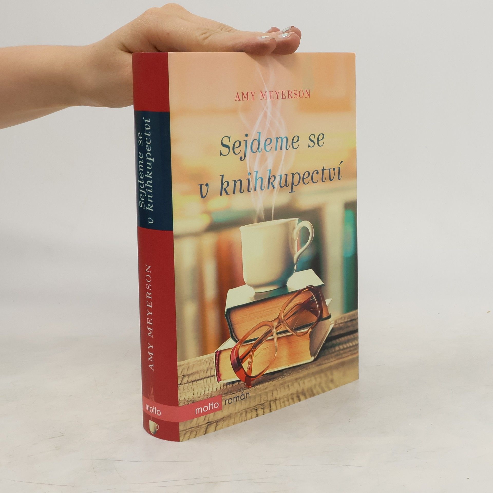 Amy Meyerson Sejdeme se v knihkupectví