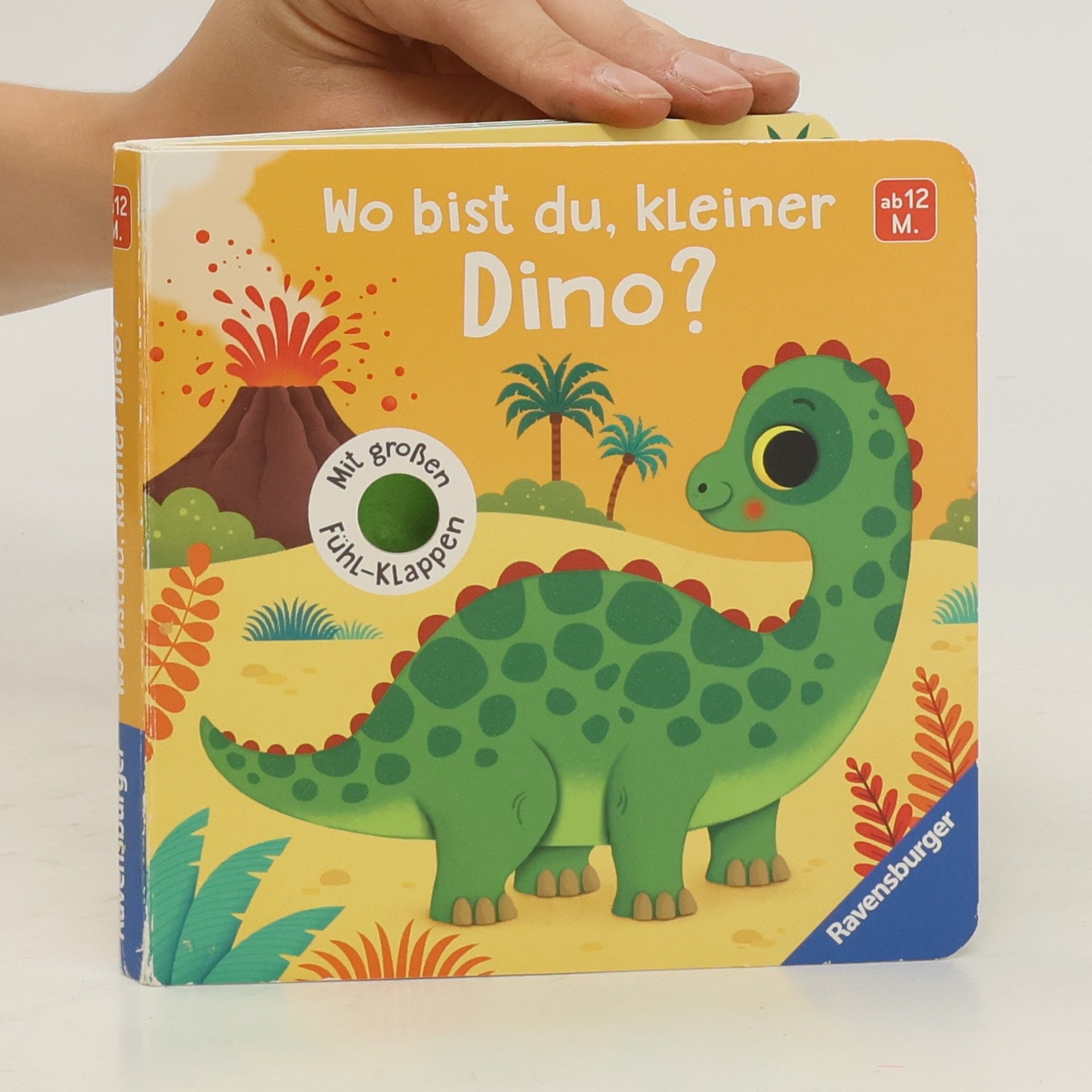 Aurelia Streck Wo bist du, kleiner Dino?