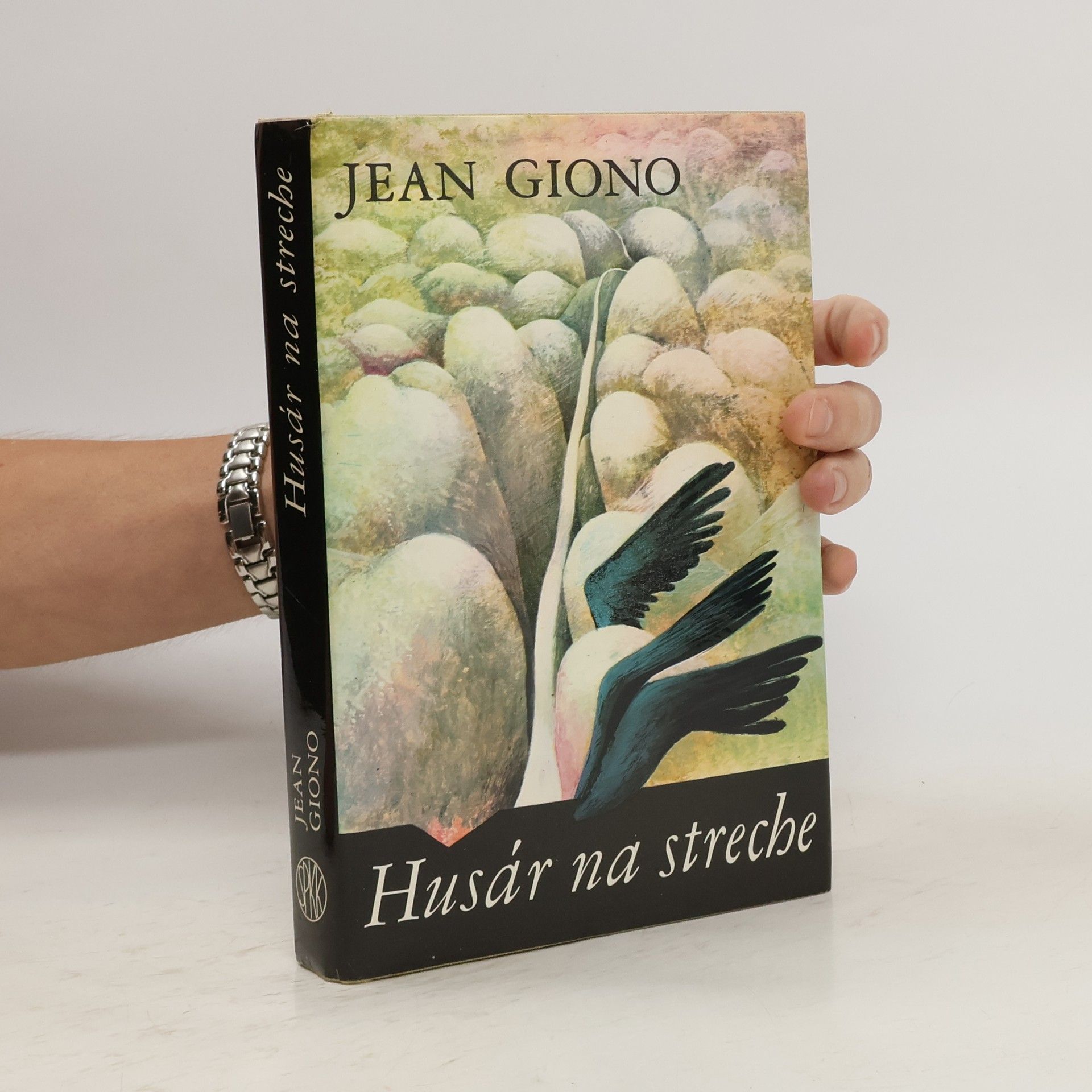 Jean Giono Husár na streche