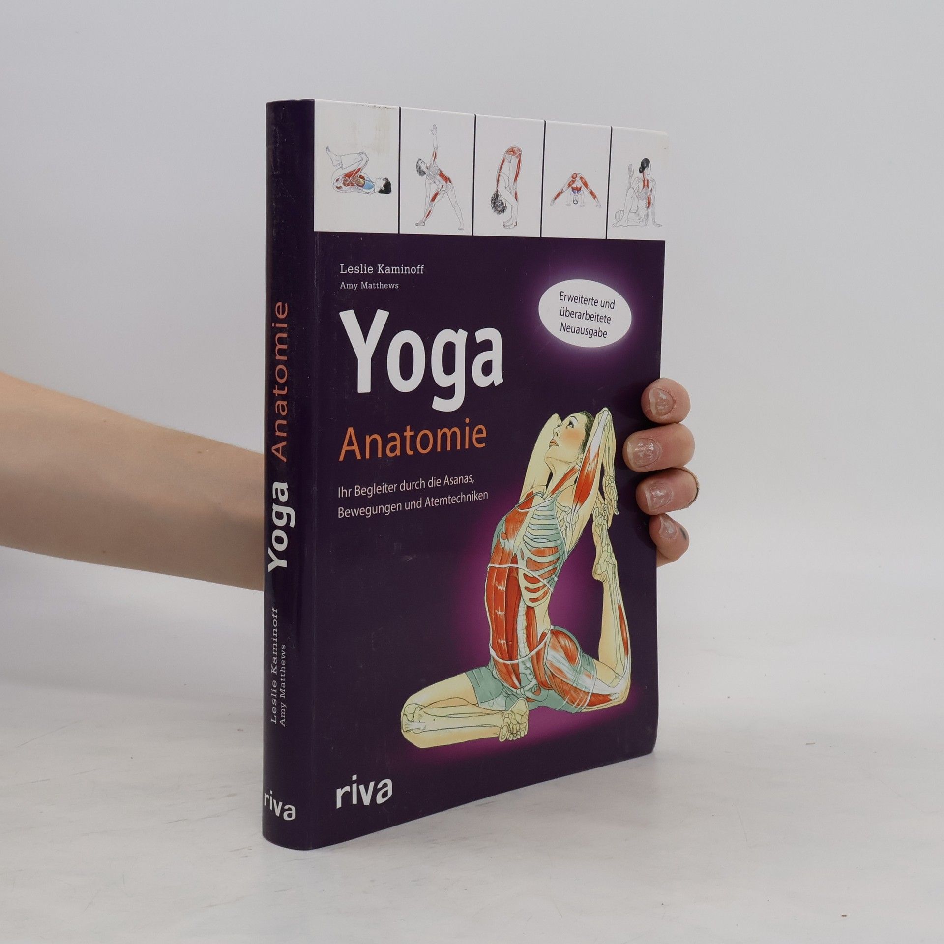 Leslie Kaminoff Yoga-Anatomie