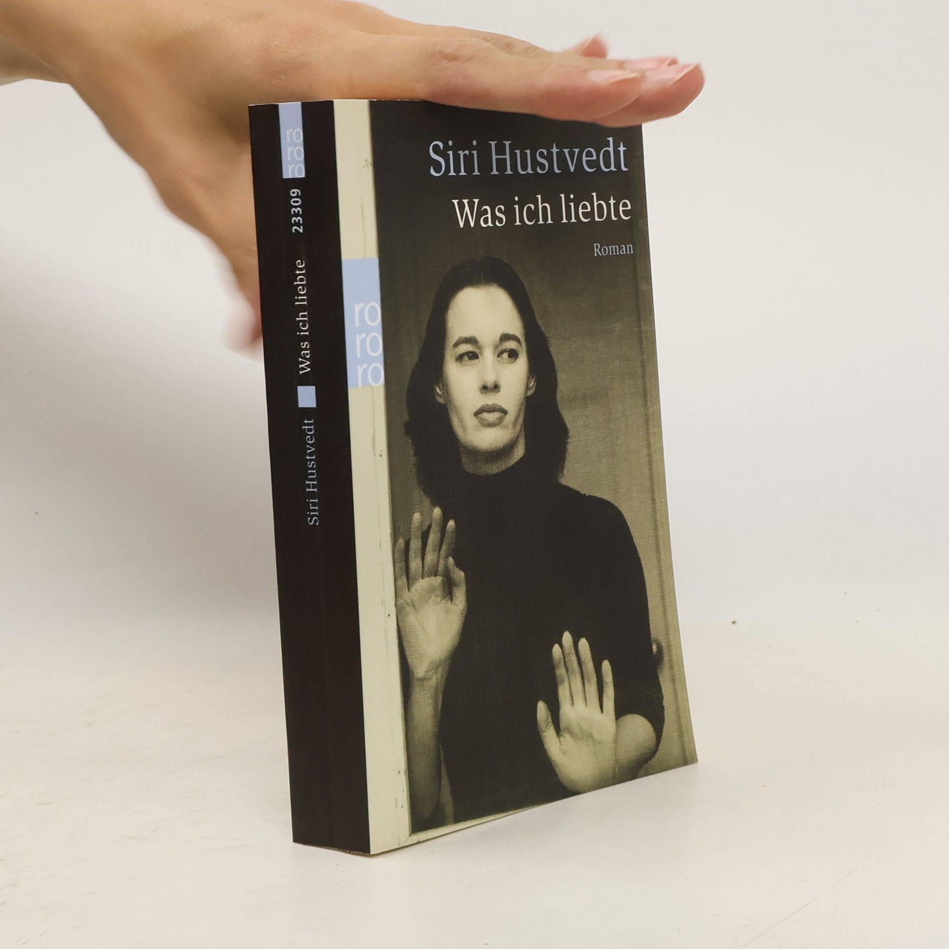 Siri Hustvedt Was ich liebte