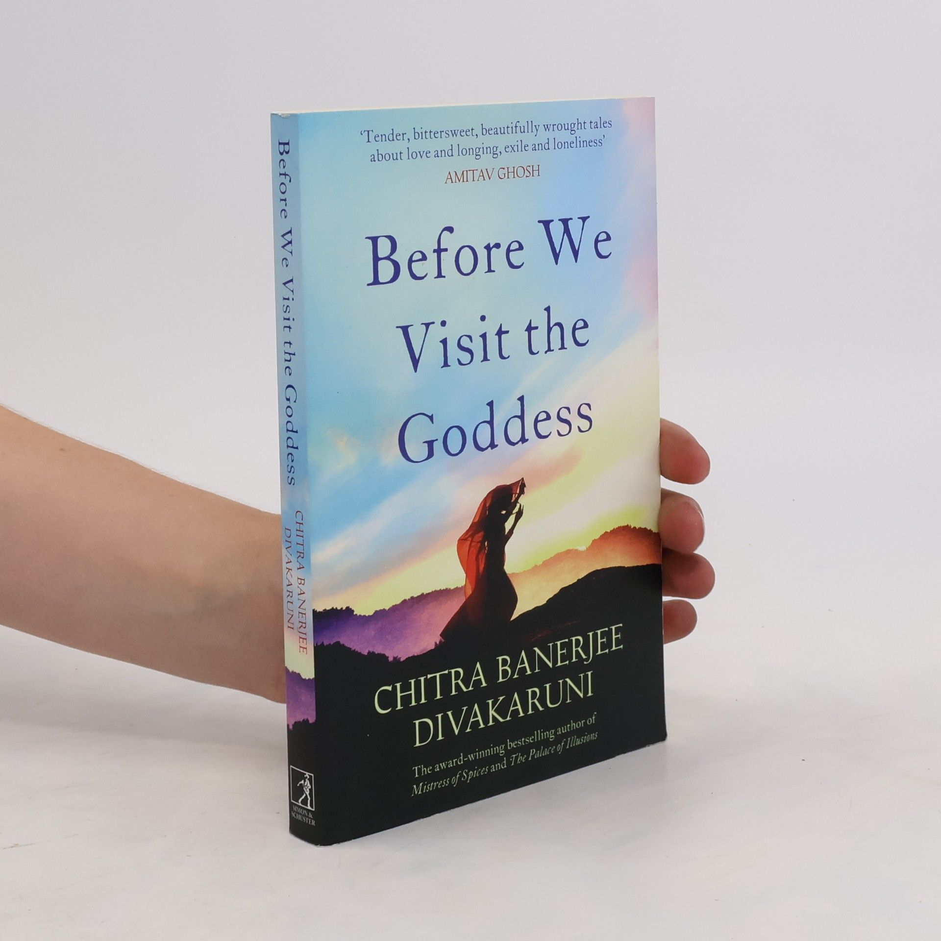 Chitra Banerjee Divakaruni Before We Visit the Goddess