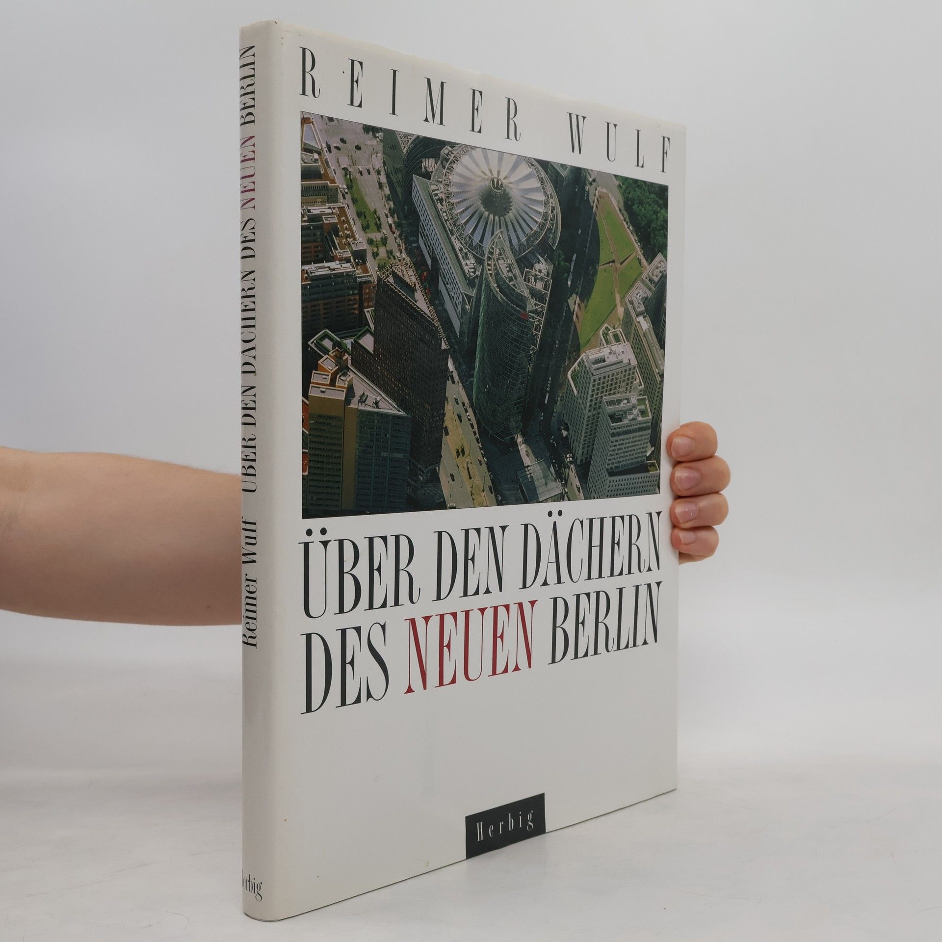 Reimer Wulf Über den Dächern des neuen Berlin