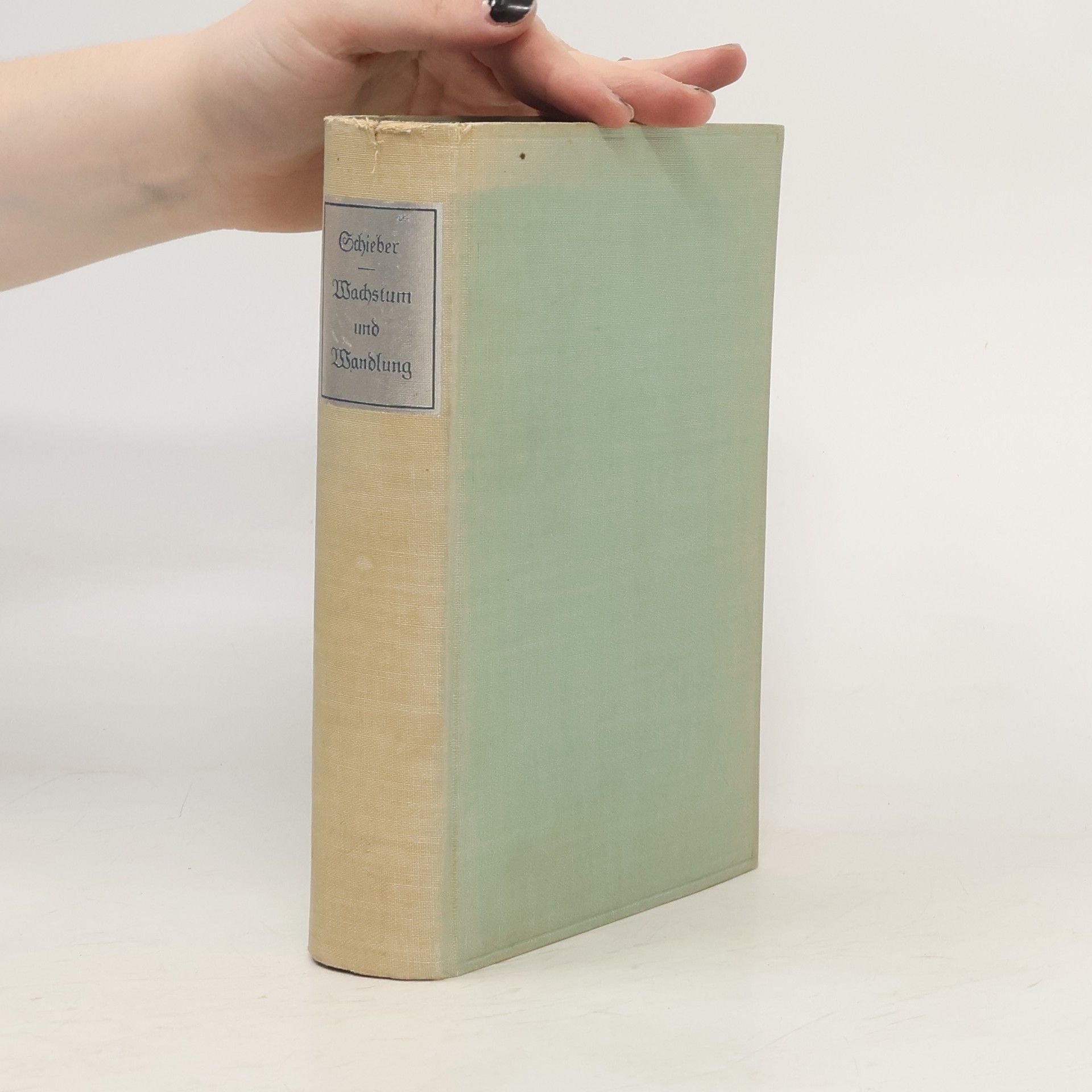 Anna Schieber Wachstum und Wandlung