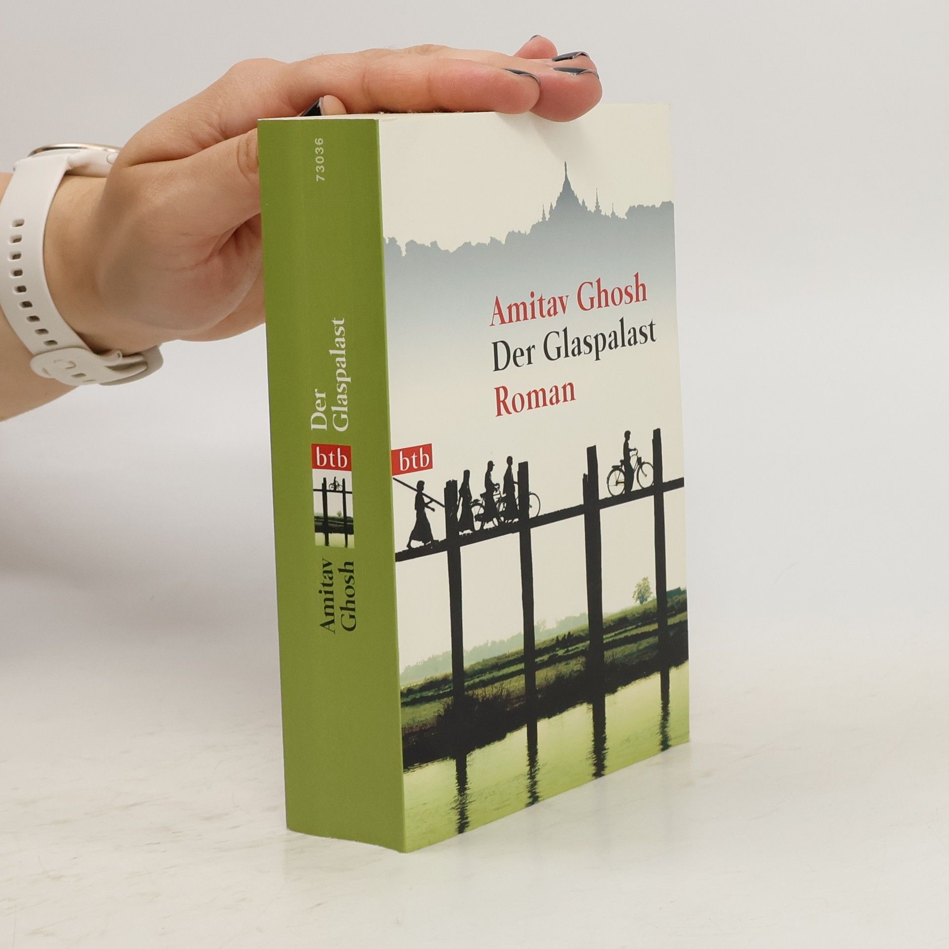 Amitav Ghosh Der Glaspalast