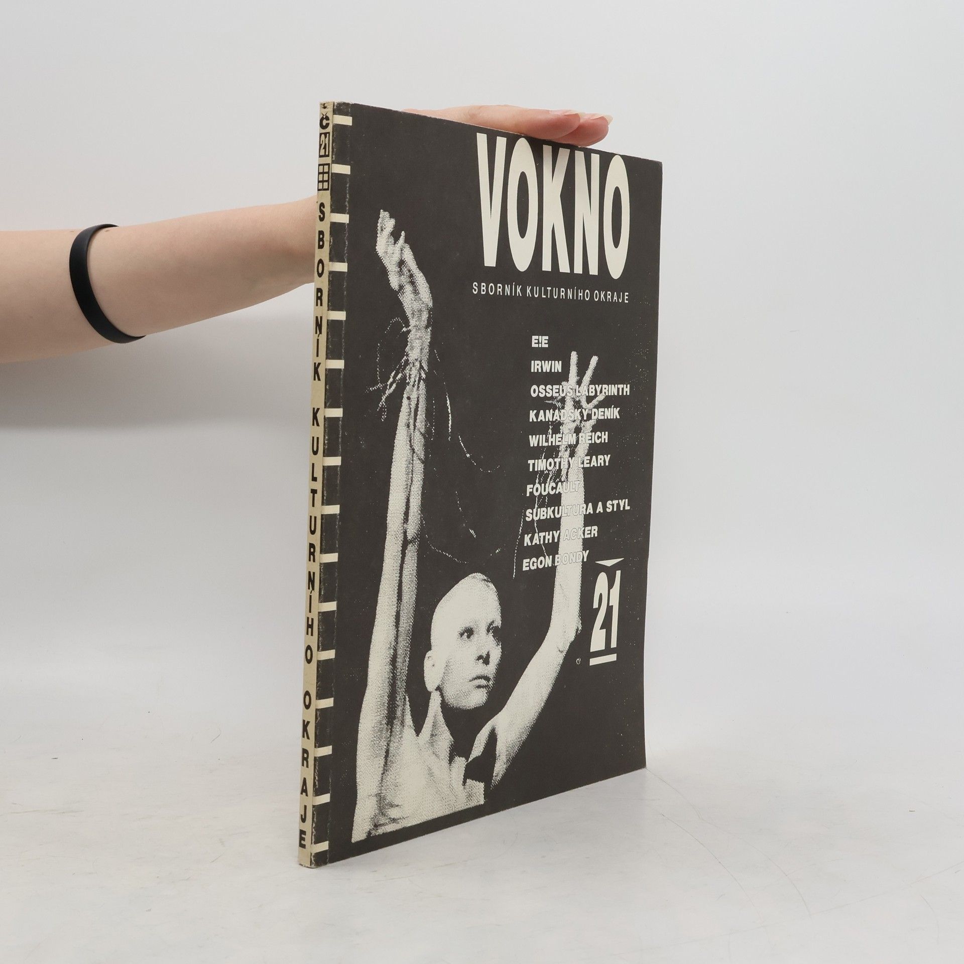 Kolektiv autorů Vokno: sborník kulturního okraje 21