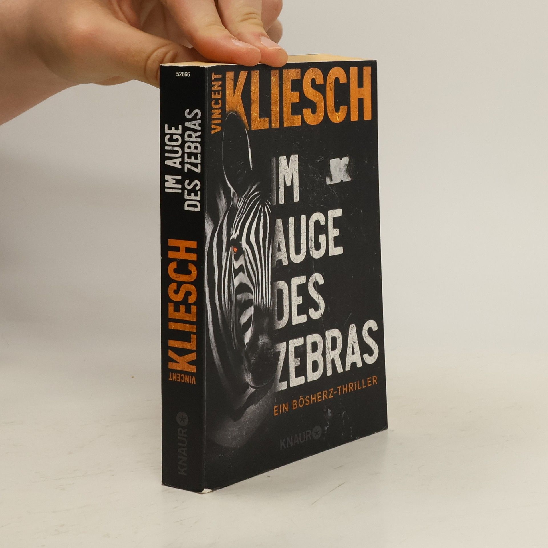 Vincent Kliesch Im Auge des Zebras